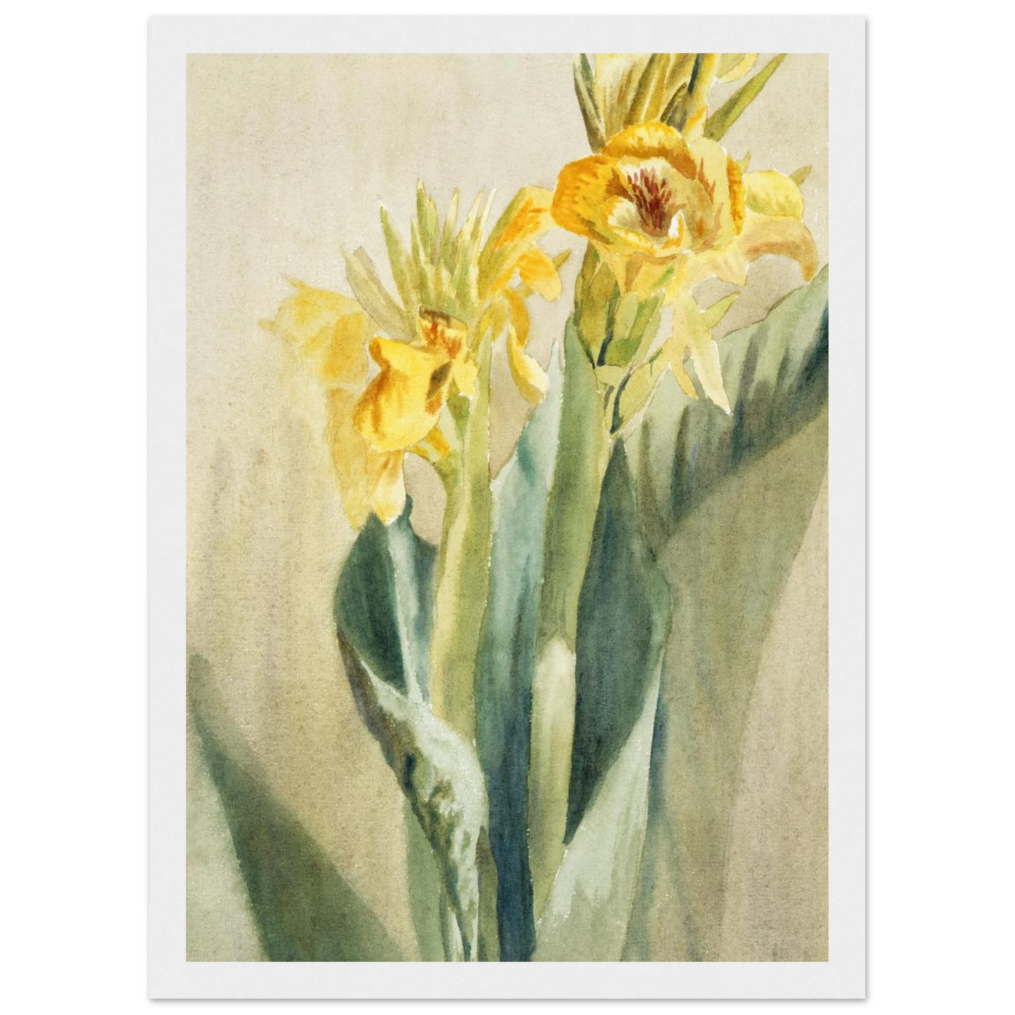 755cea4b-d64f-43d2-95f9-98b887682ff2