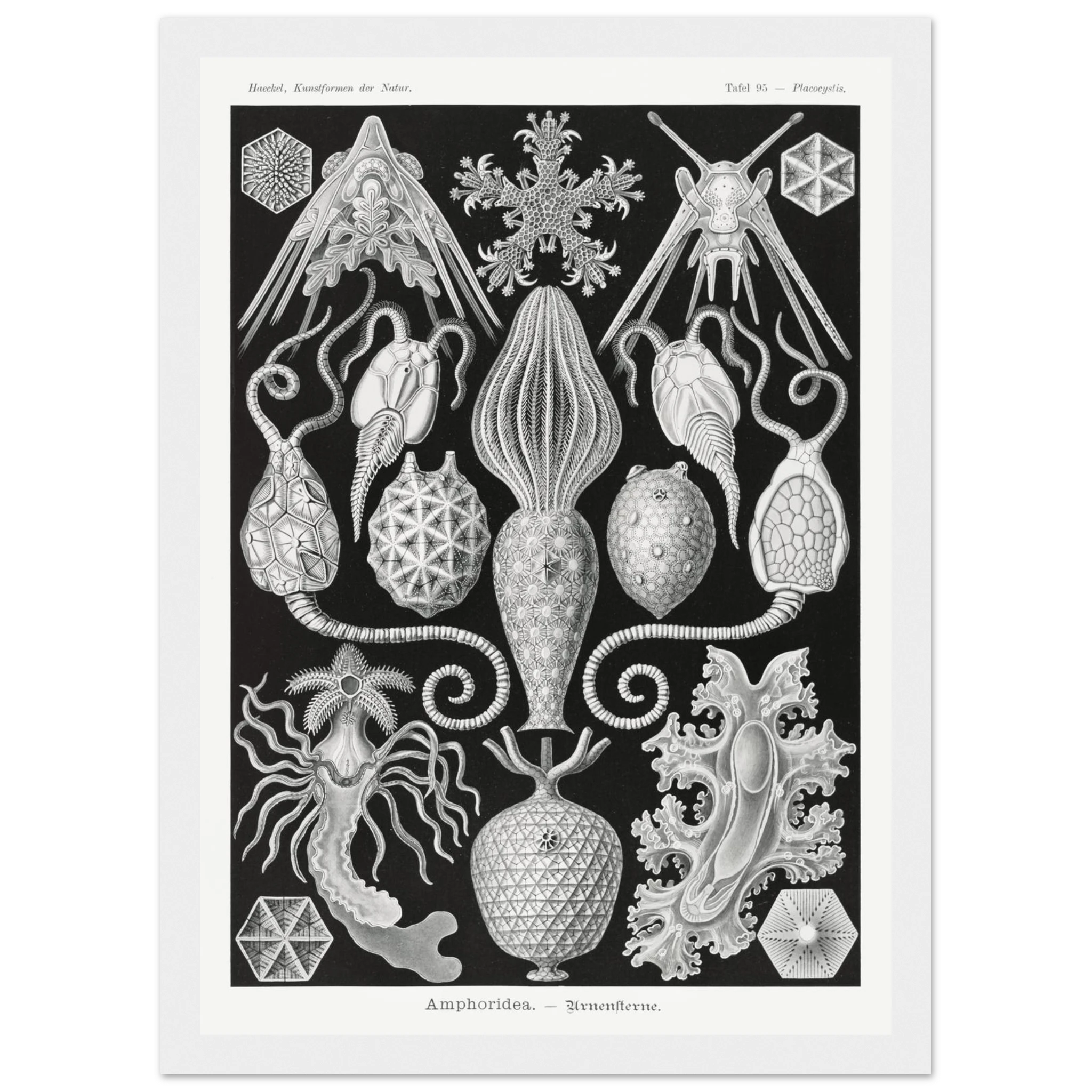 75b1cbfa-f997-49f6-8601-b842de5070a0