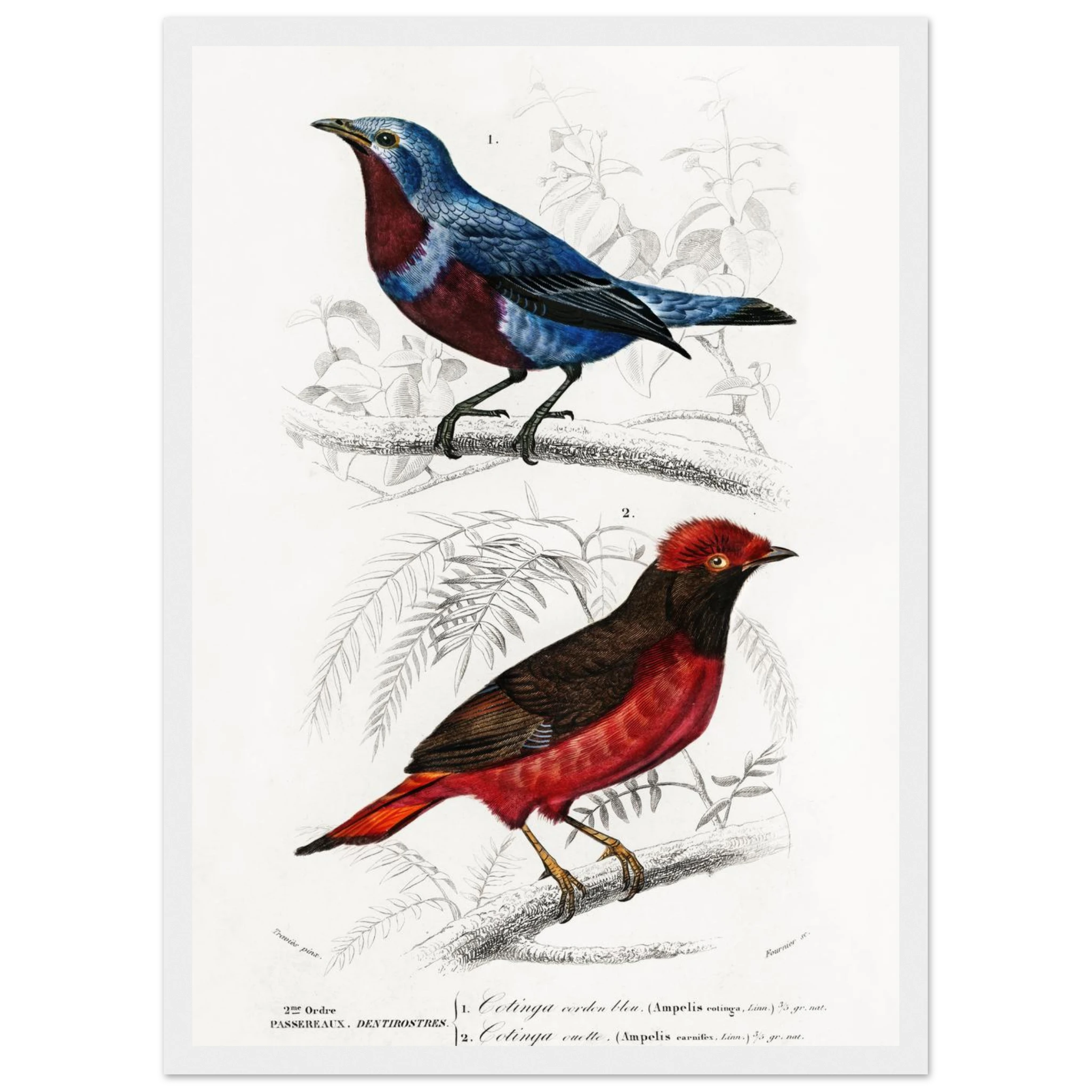 75e55a98-5304-4d7f-a022-8b3c4e1de00d