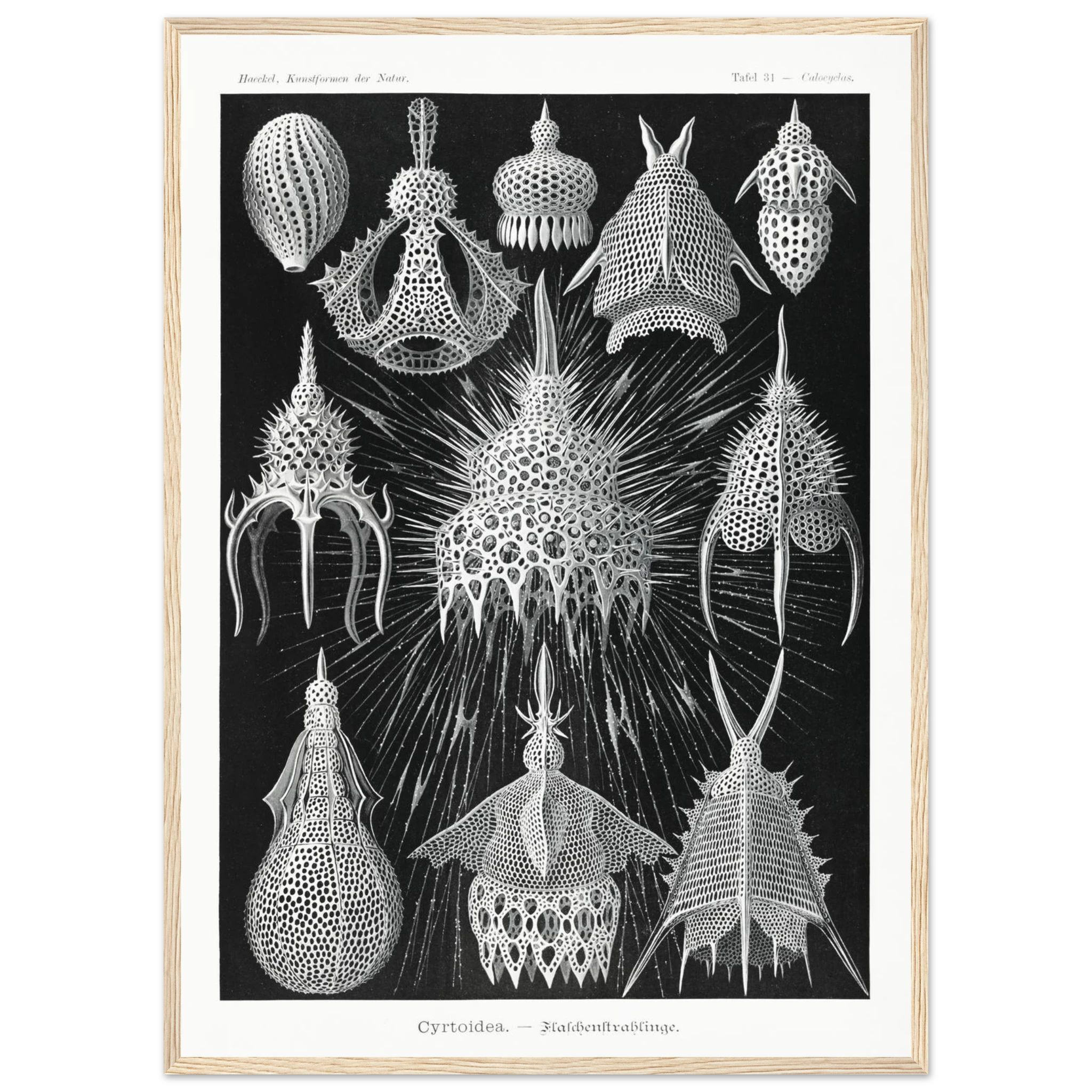 75eb6f3a-958b-4ae1-bd17-d0499006afc3