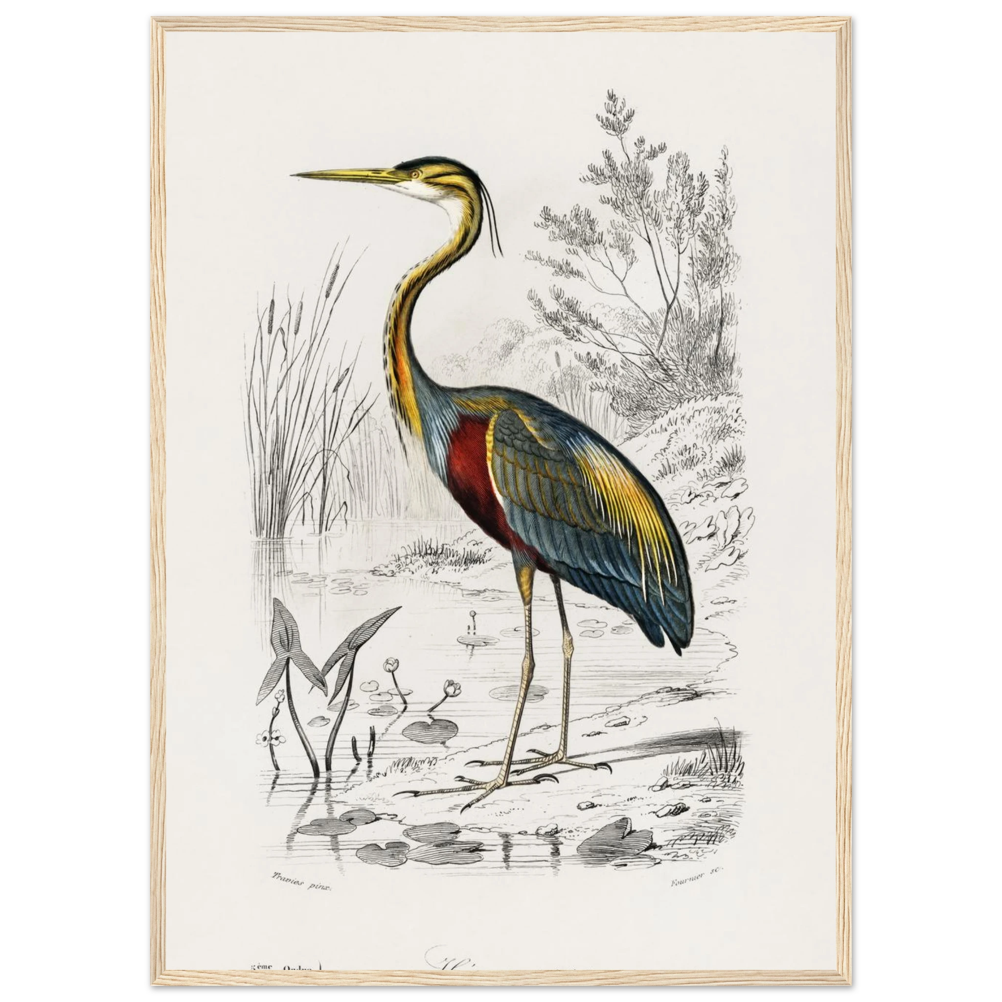 75f09d1d-f4a8-4b39-837e-8e9551cd1919