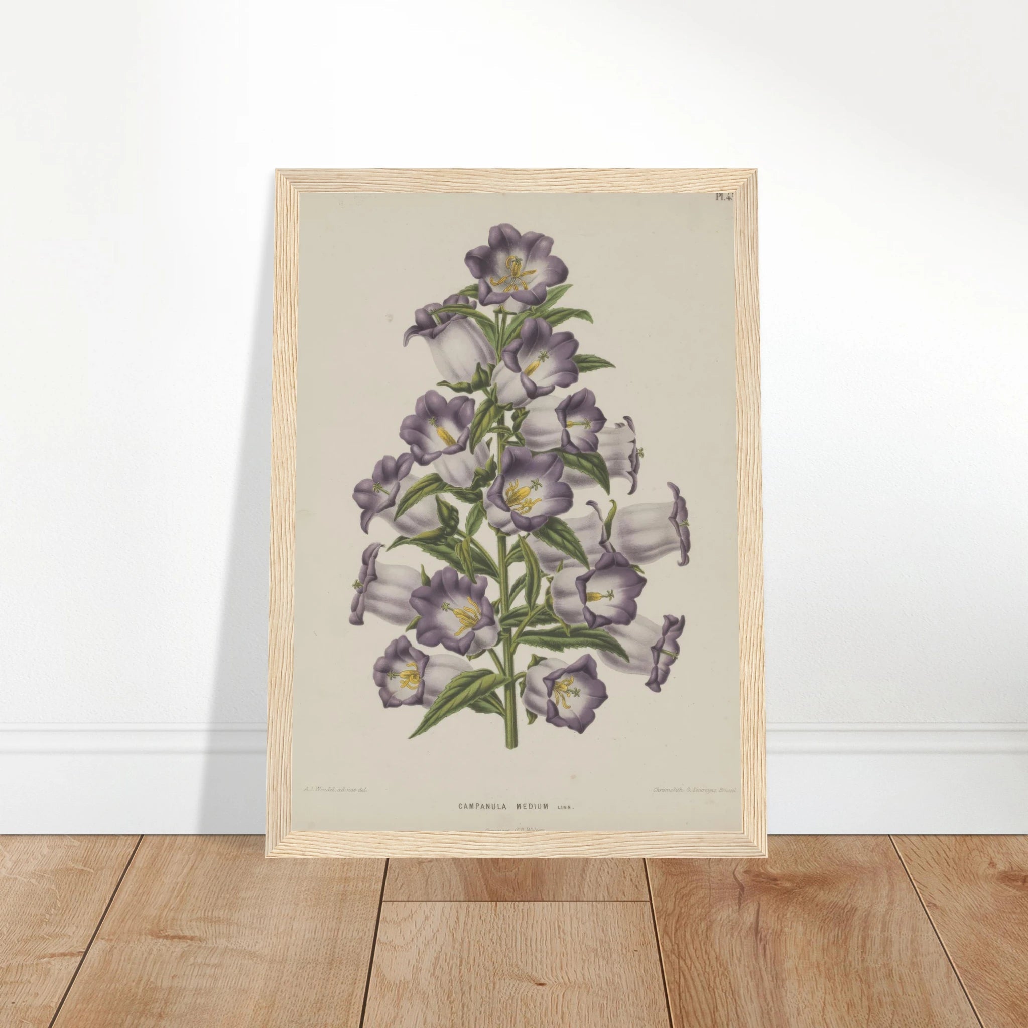 75f7d5a1-0825-4c30-94e3-cb3221988e88