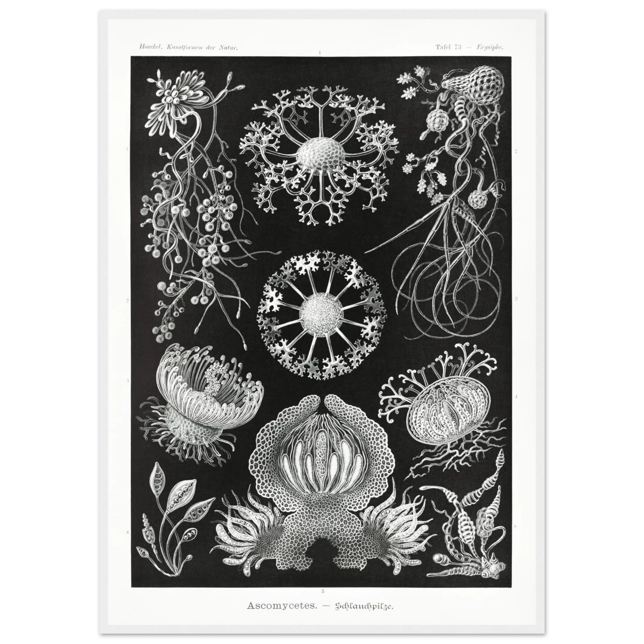 75faa78a-0a88-4bf7-9e24-4fdd423e7e0a