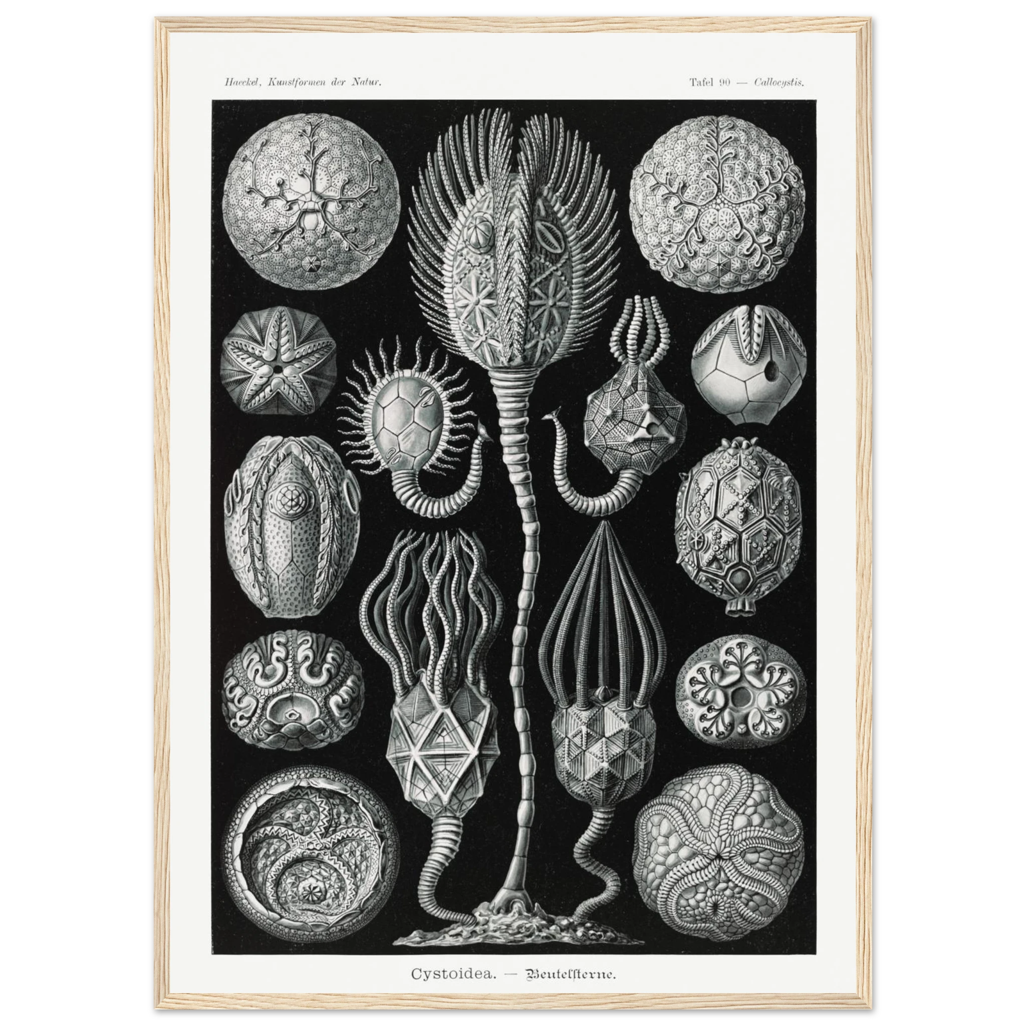 7614d4d0-120a-4fe8-8b34-0b24008337f0