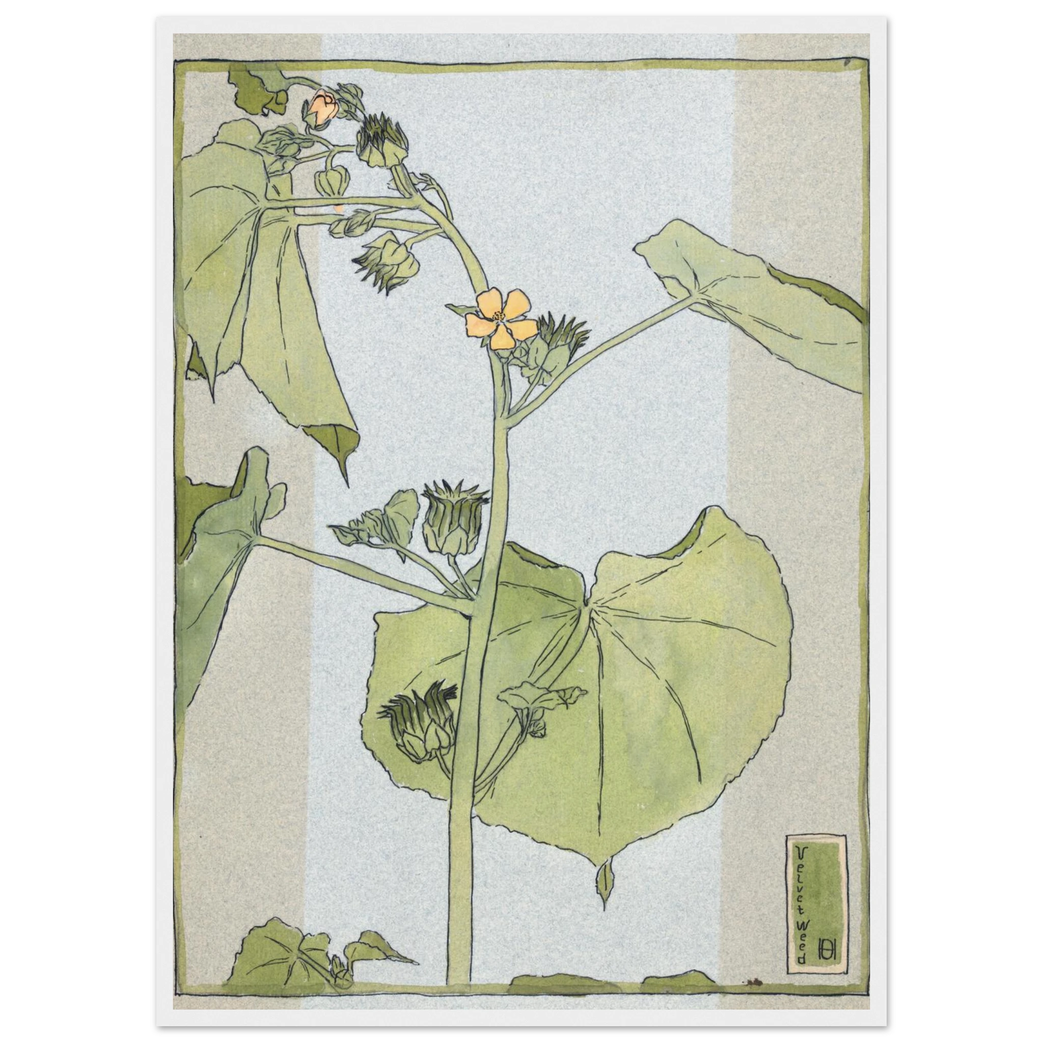 7650e3d1-9220-4297-a078-001ed1845aea