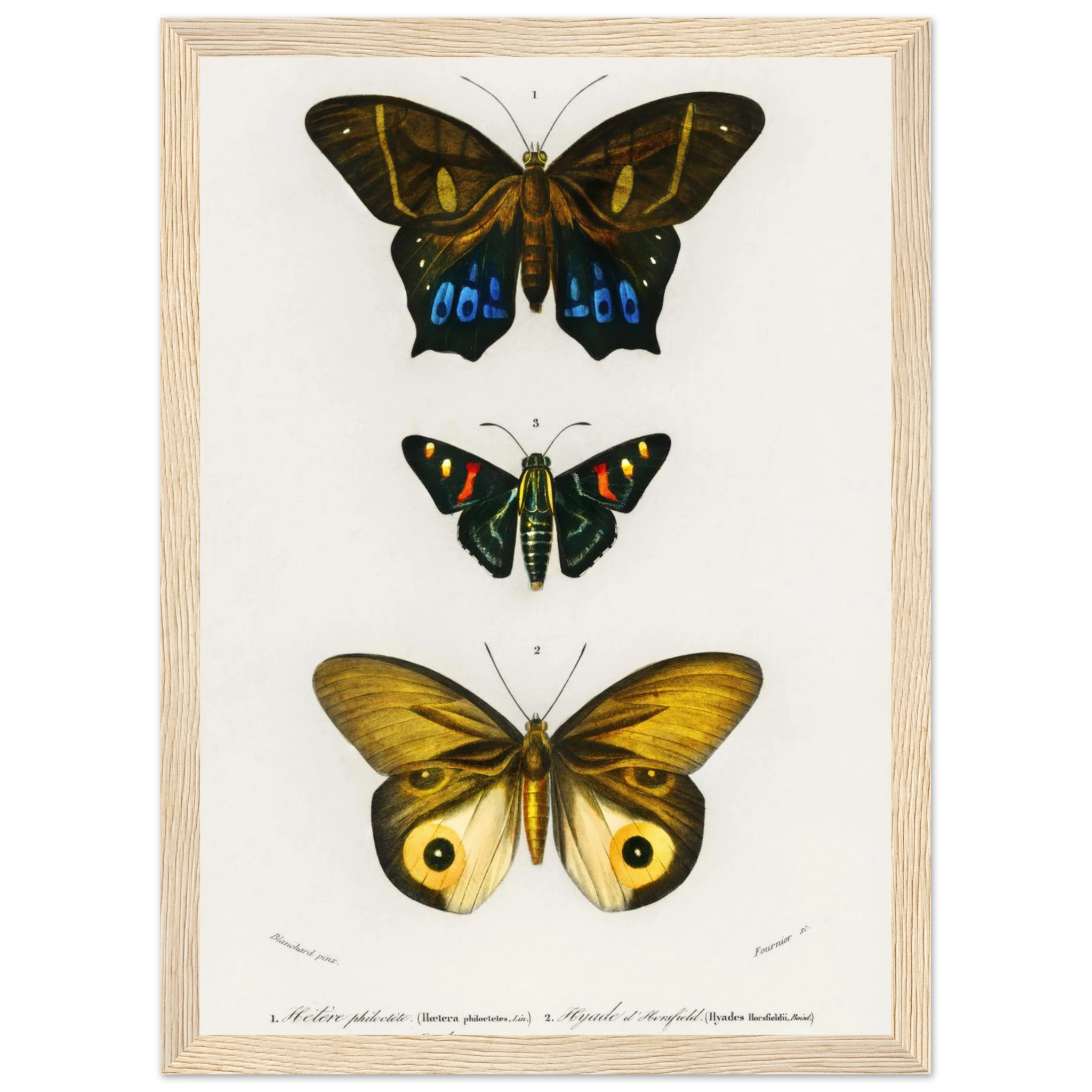 76792301-e00c-4e53-b082-53b2b10be057