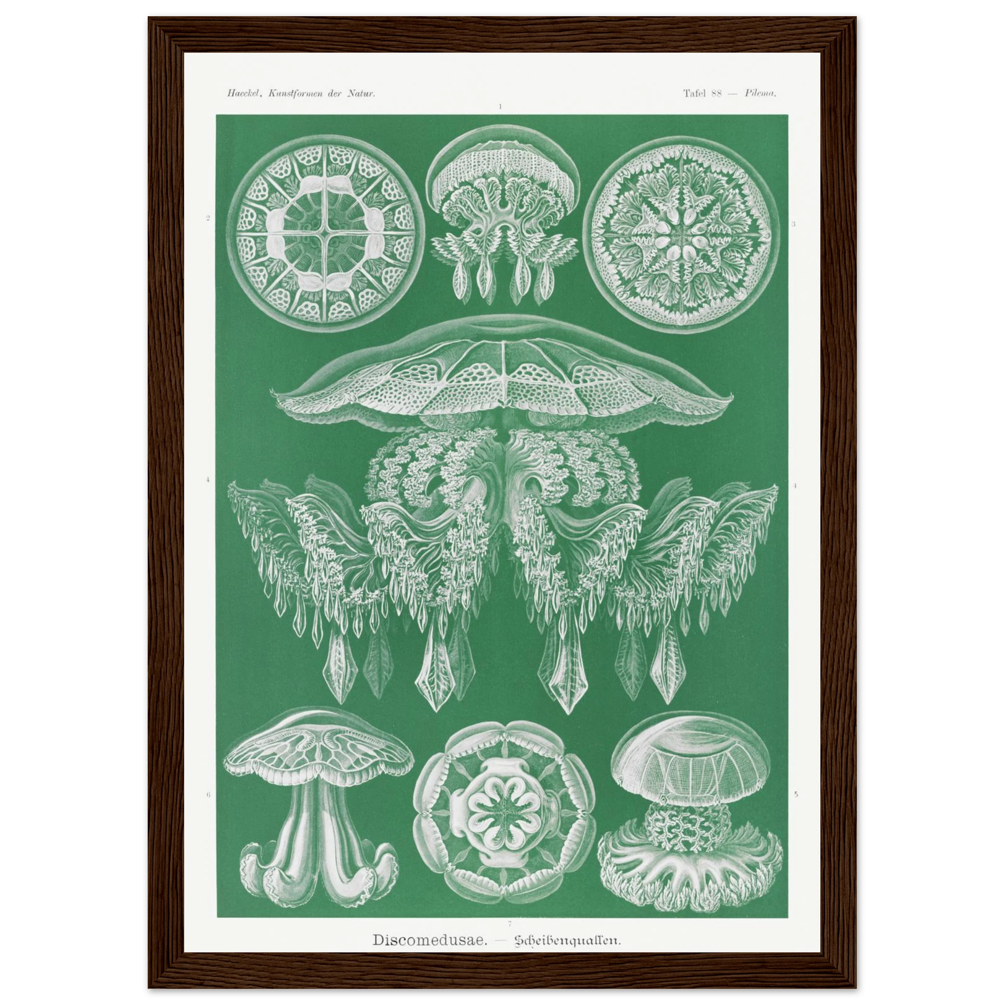 7699a2c9-e48b-4603-af59-0b38e4457adc