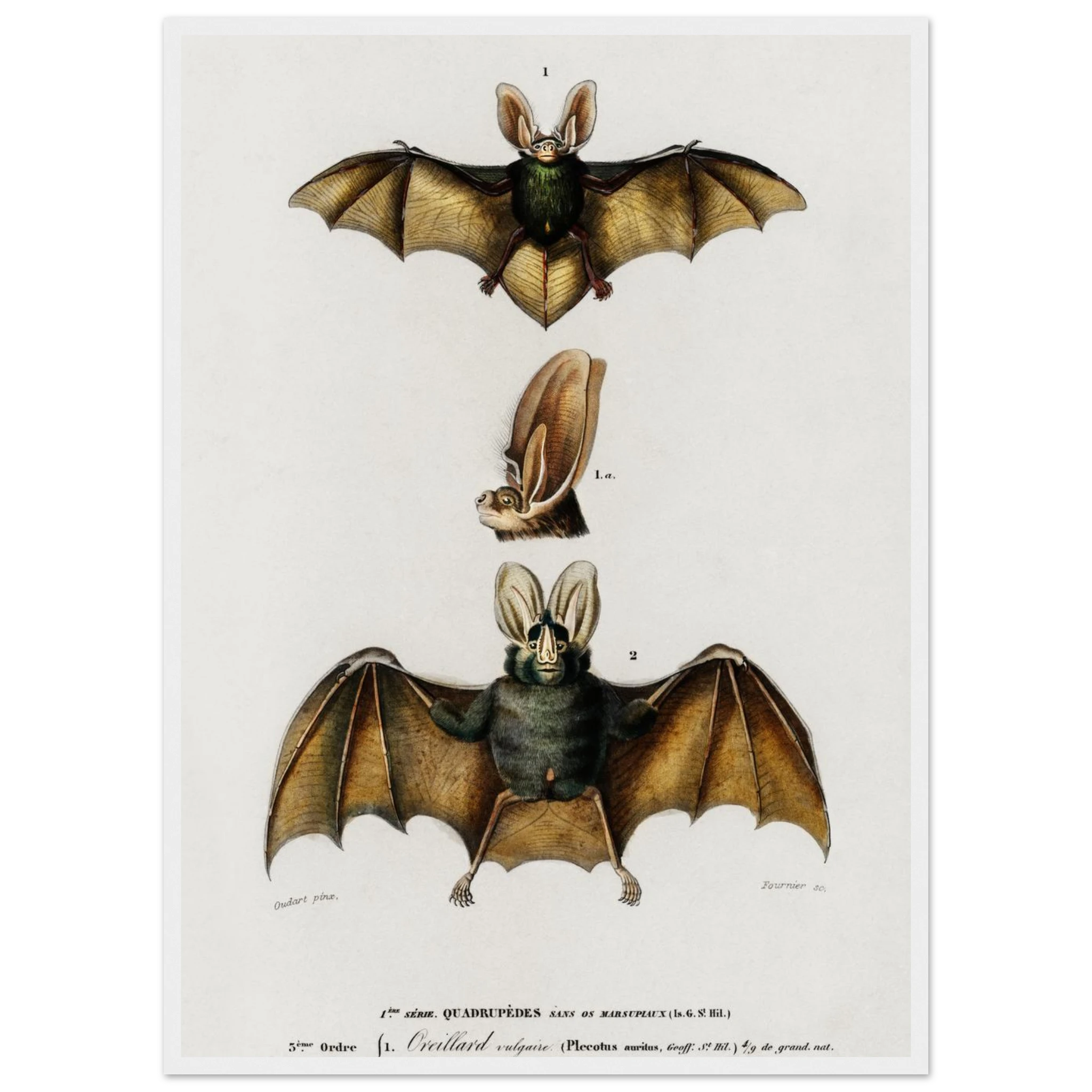 76d14941-824d-4aaf-b424-edd29676cf97