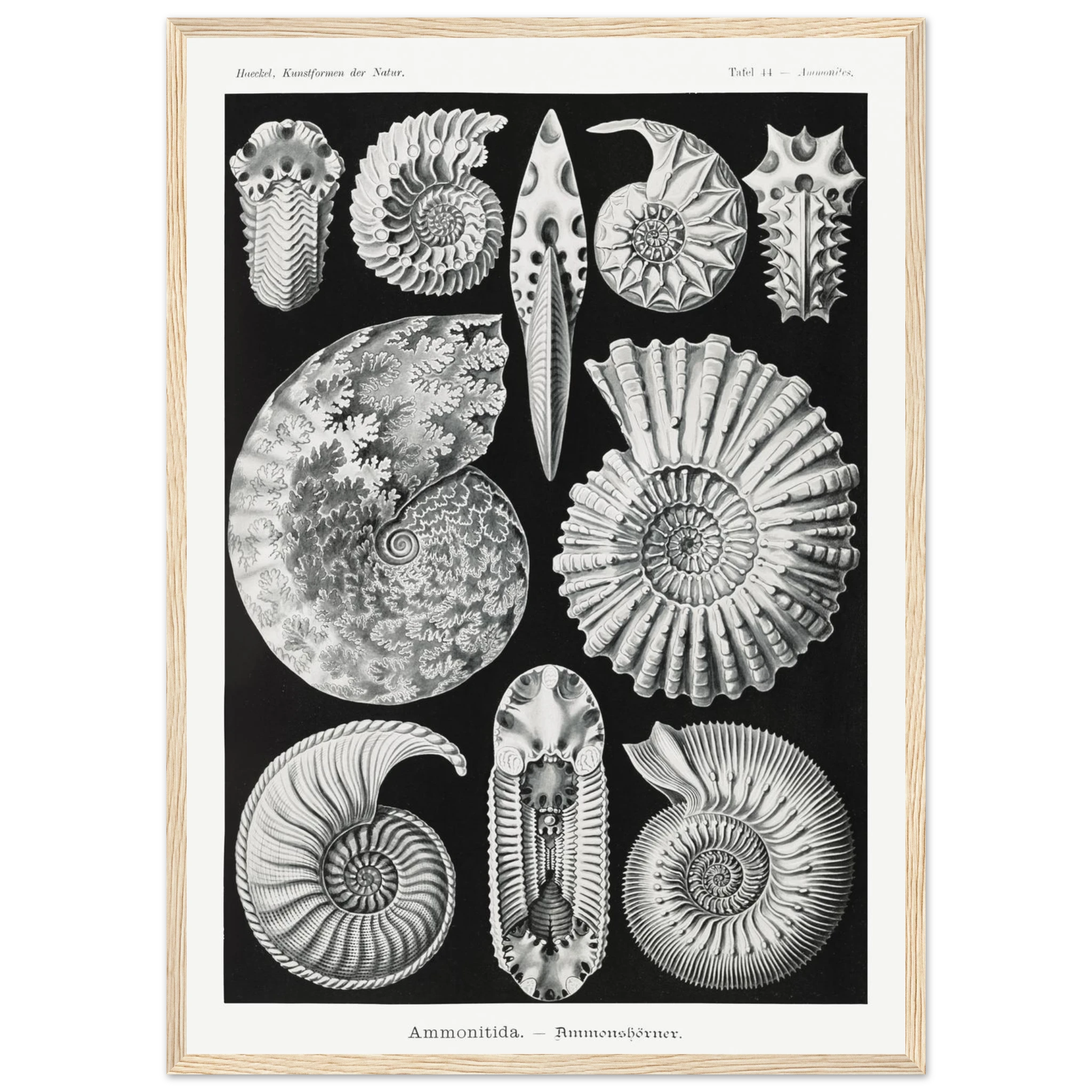 770c203b-4d61-4851-89fc-a5a65f2decb7