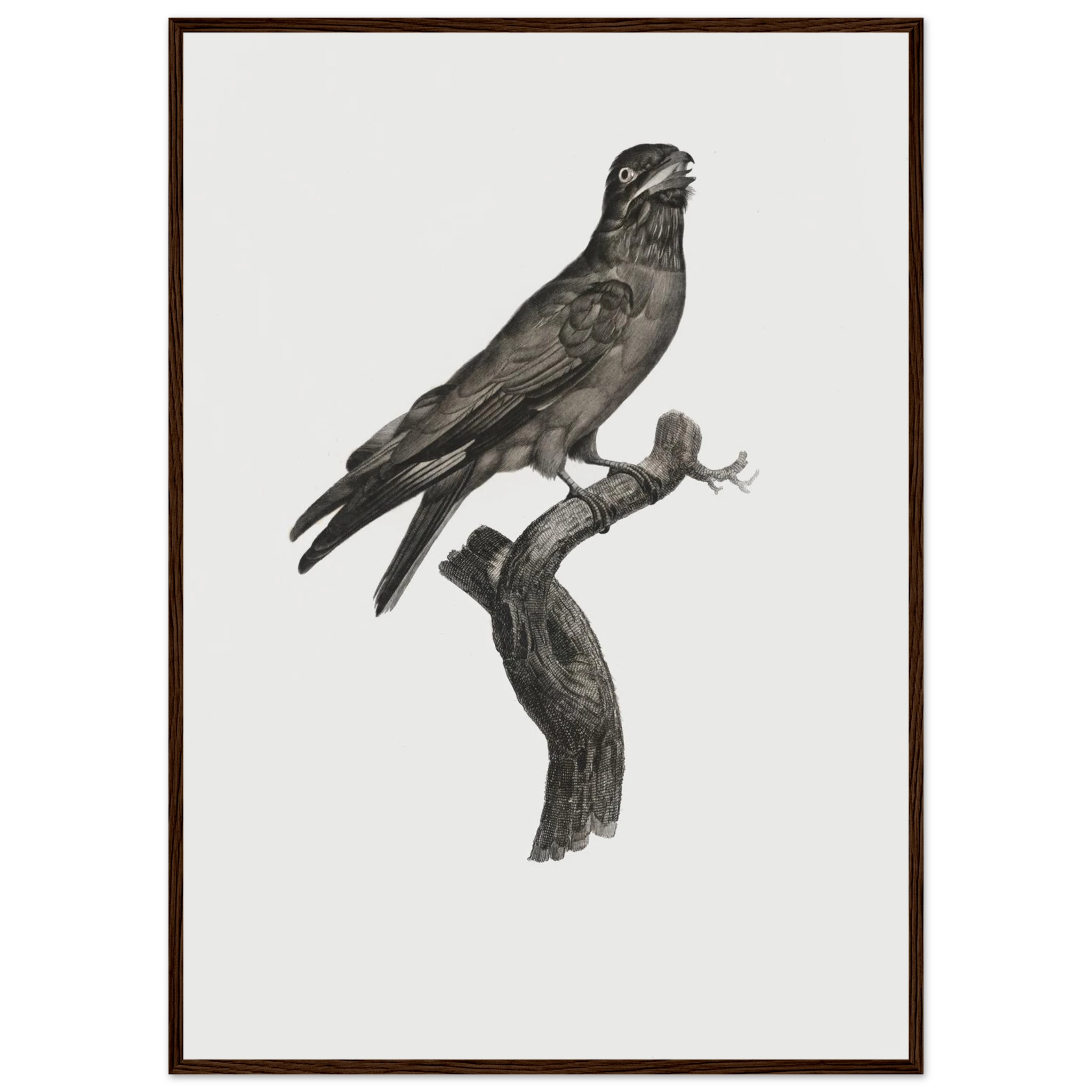 7759e900-da87-4291-a99b-f50325588928