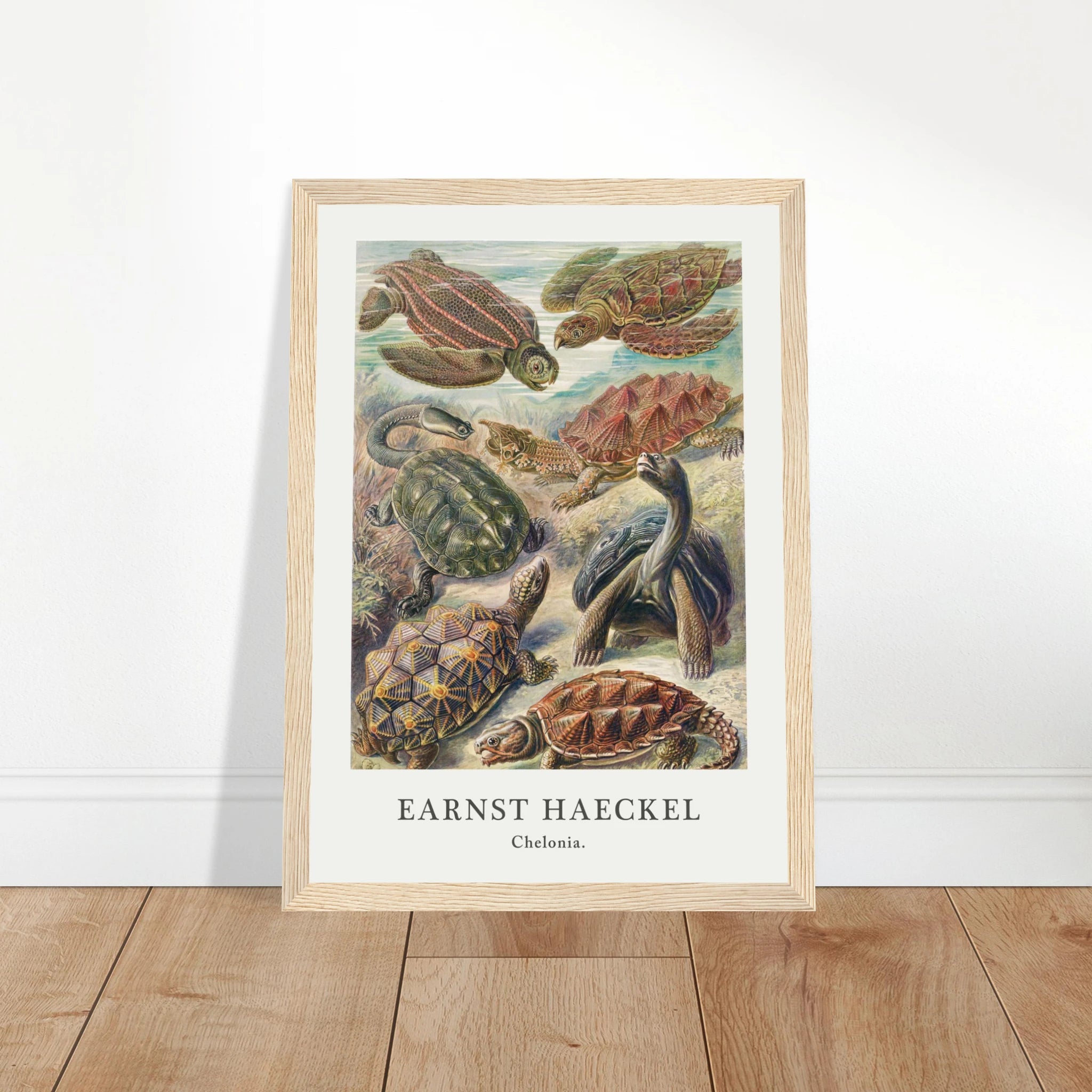 776994b0-2eb6-41a3-bb82-8839c38ca958