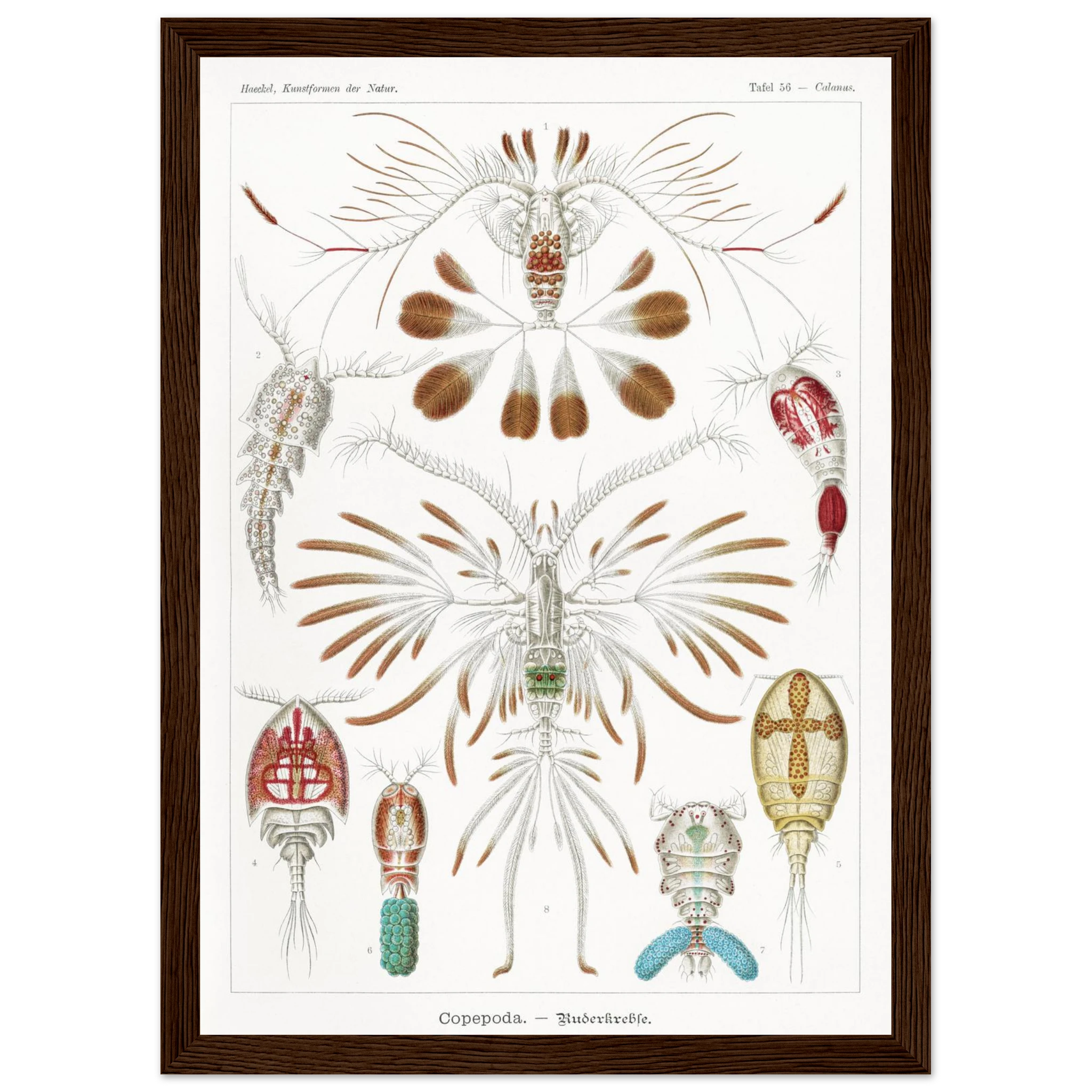 7779b054-f067-4edc-aceb-f8aea794050c