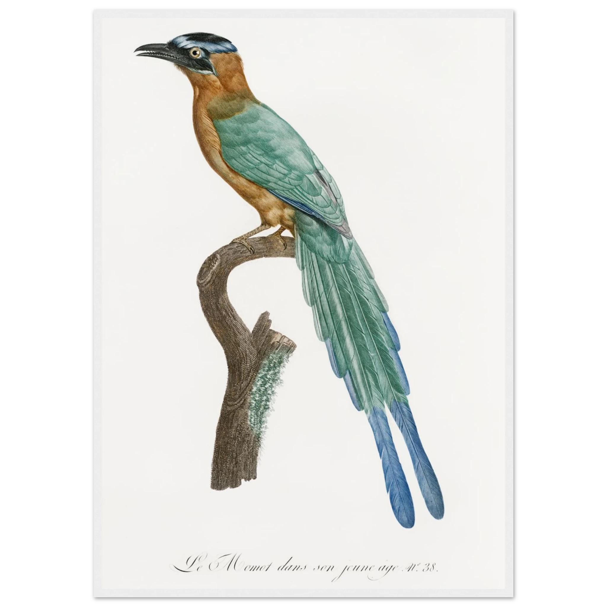 77ae69c6-359e-4c2d-afbb-26b86187d186