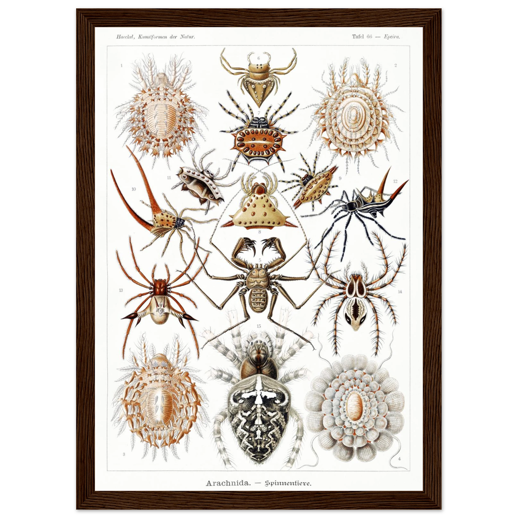 77aec03e-8357-40c4-b451-0e3e0dfd7329