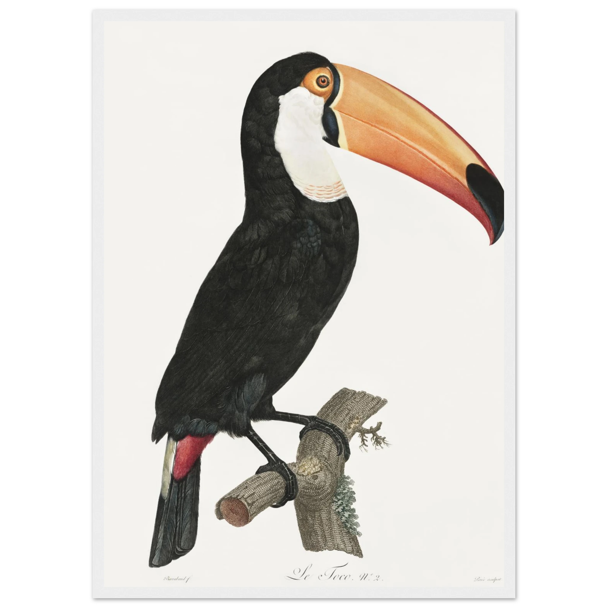 77b5d118-286e-464f-b430-f0a40214446b