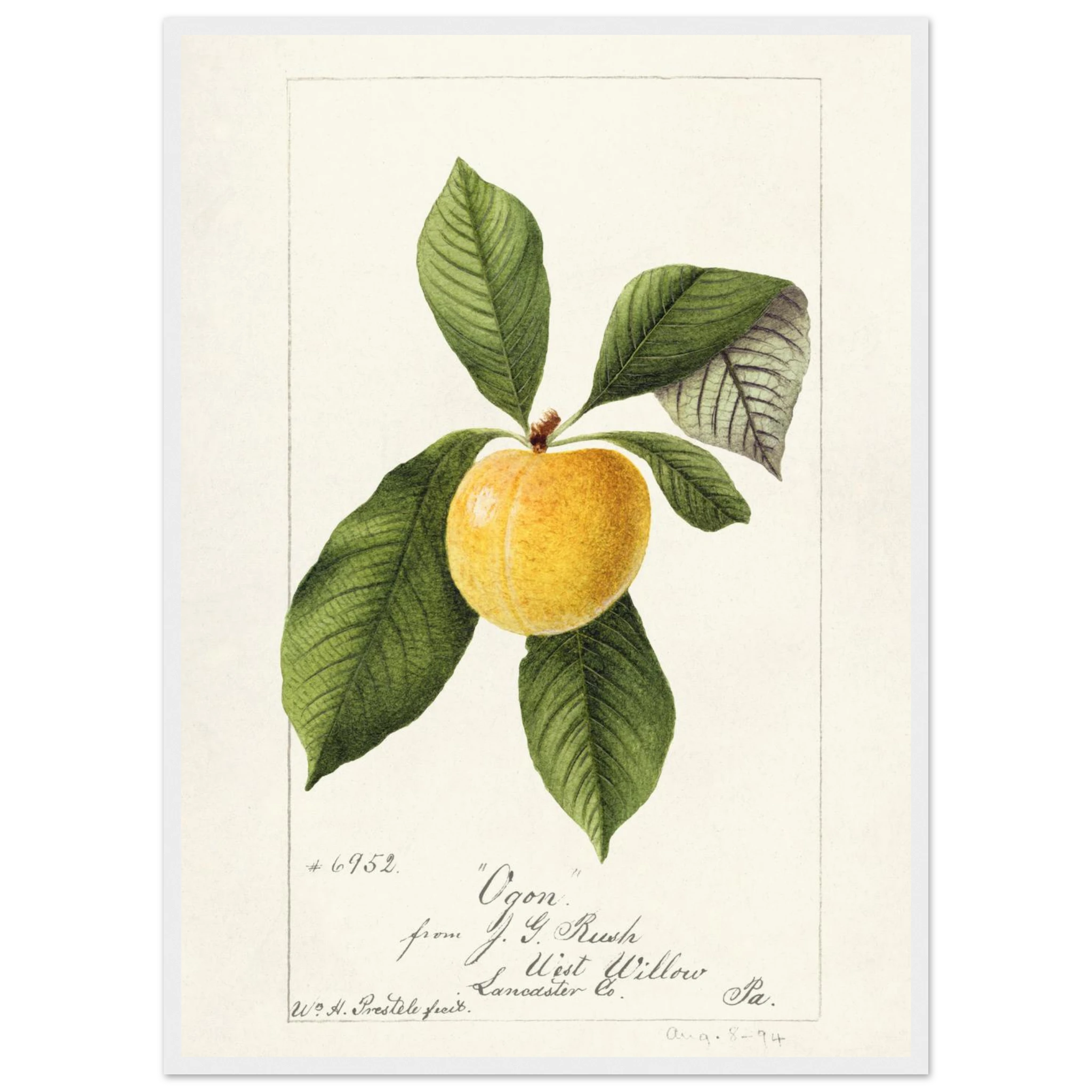 77fba201-0d5c-4a3e-bca1-a367bab5fd8d