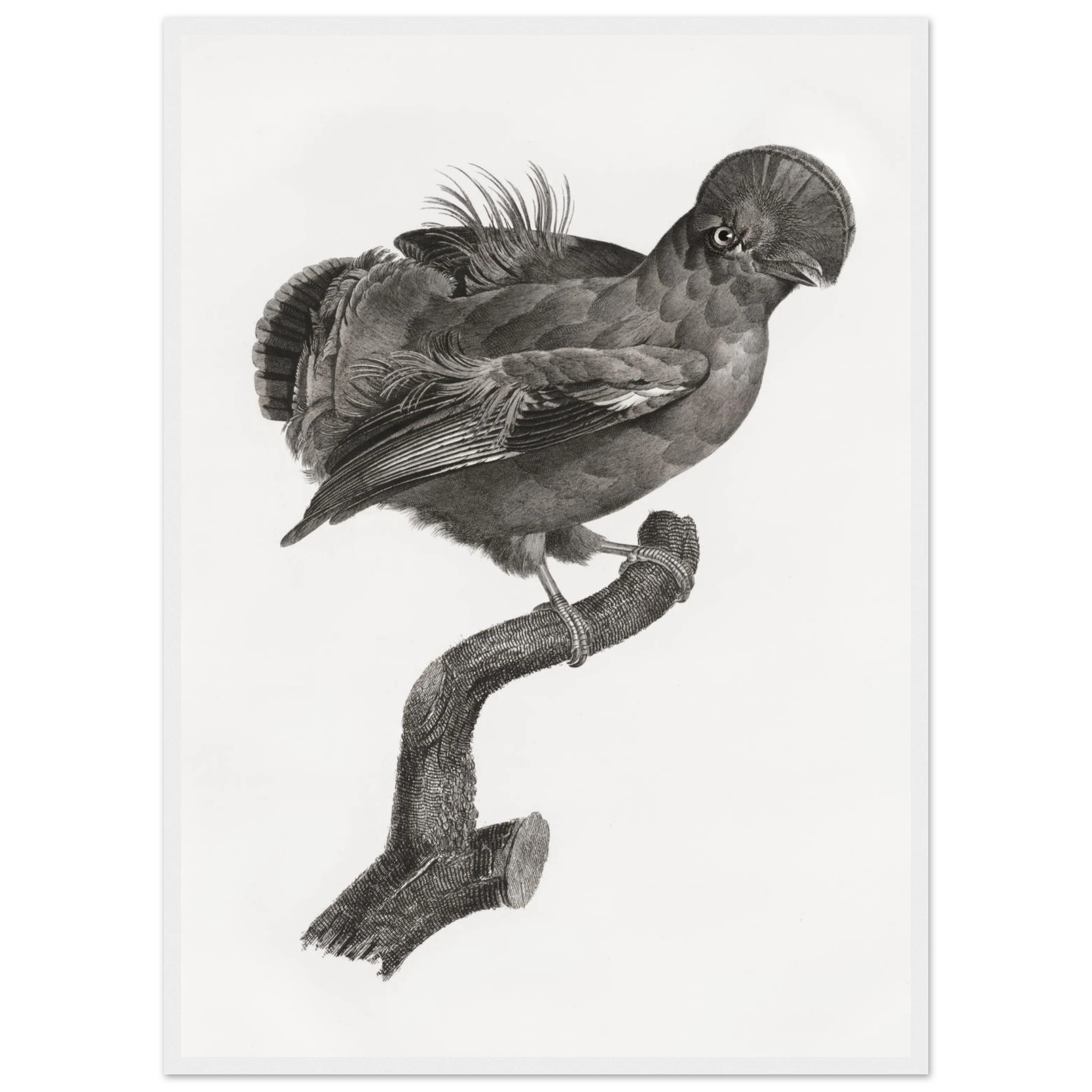 78100f64-0fb5-4195-864b-970402158108