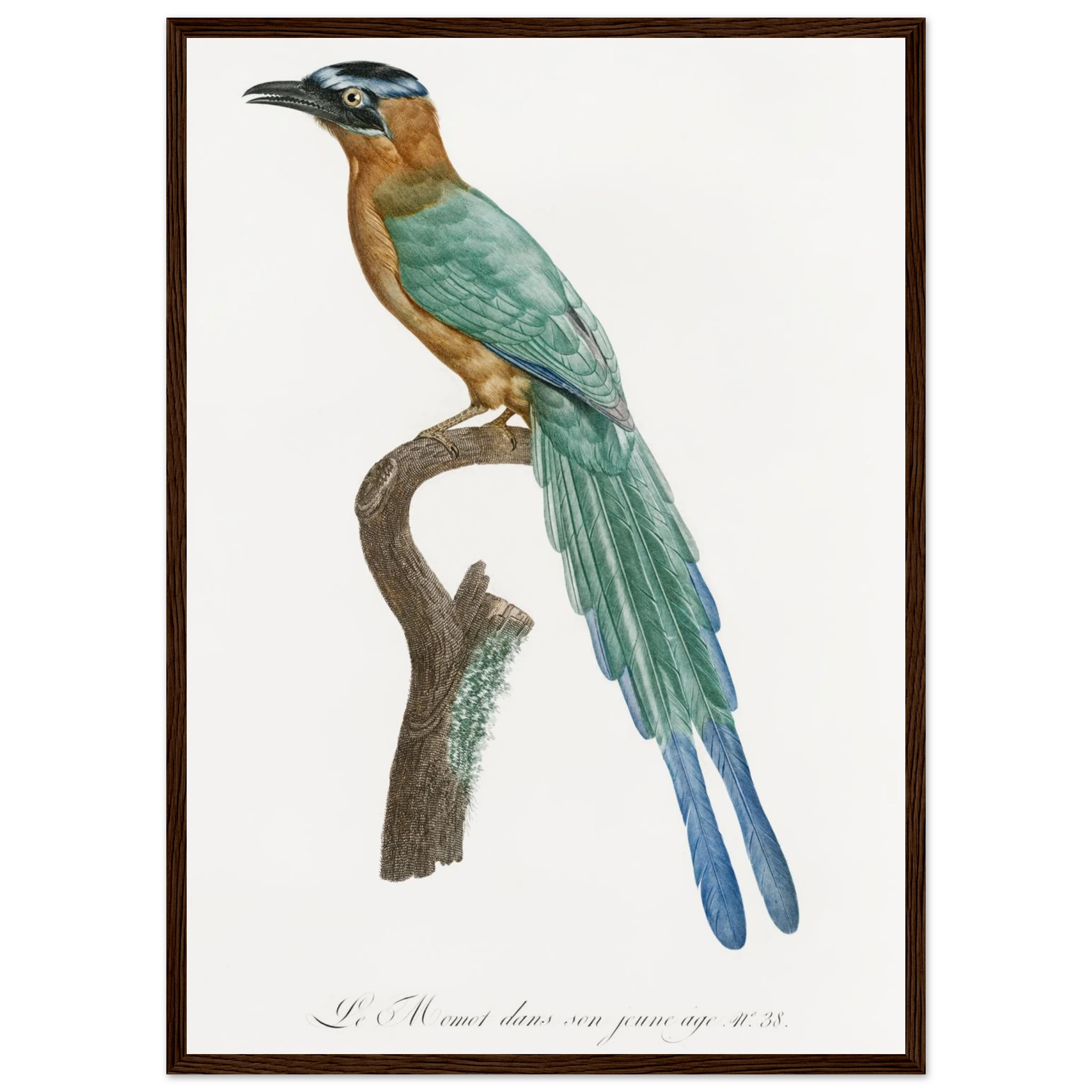 7847a1ab-82c9-4fce-87b3-587e59add93b