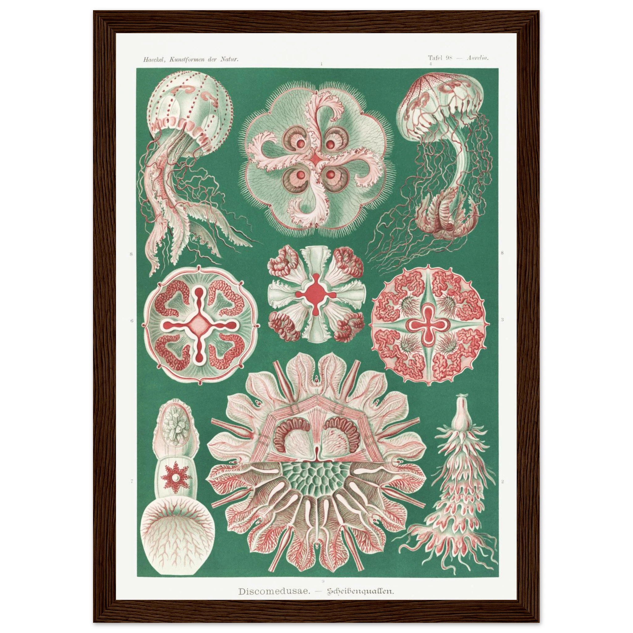 784fc66a-4719-46f2-a155-e294eab98d7a