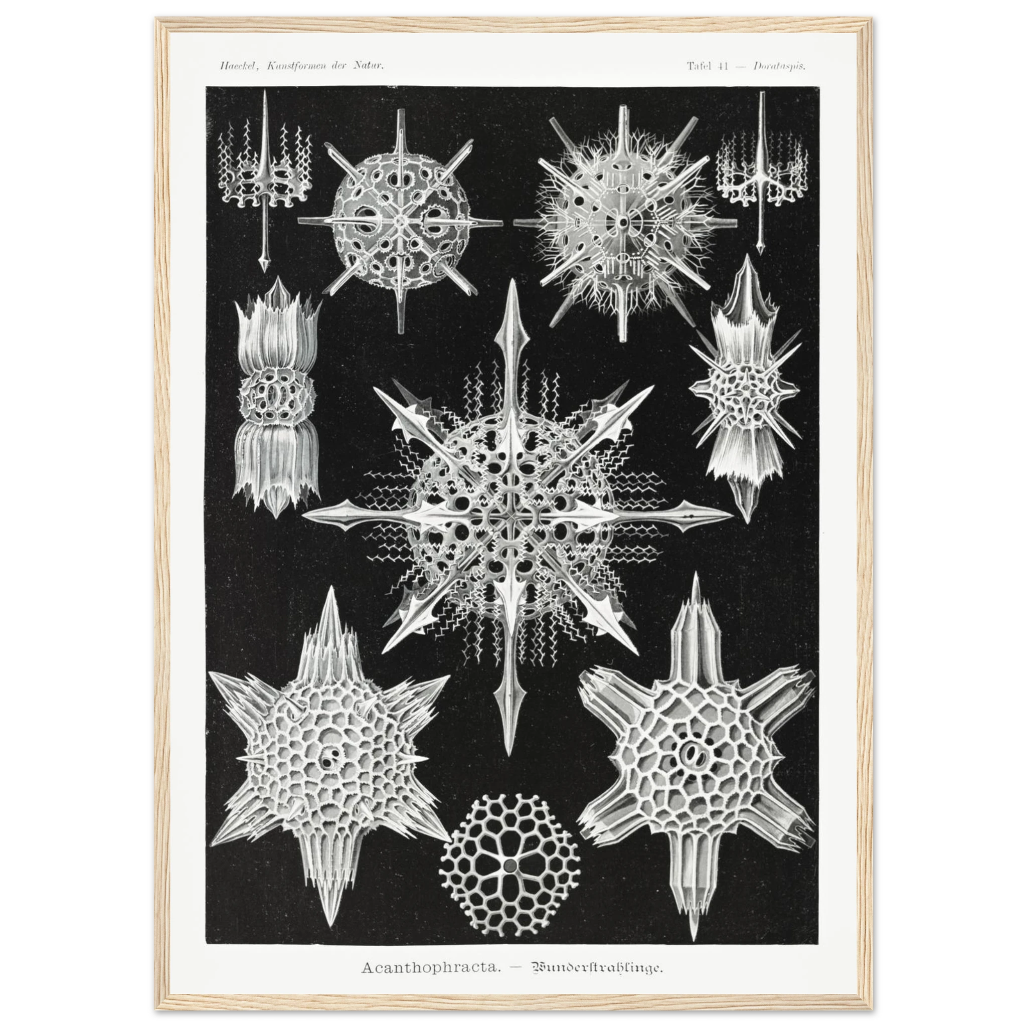 788eee61-8d9d-421f-930e-111022a057cf