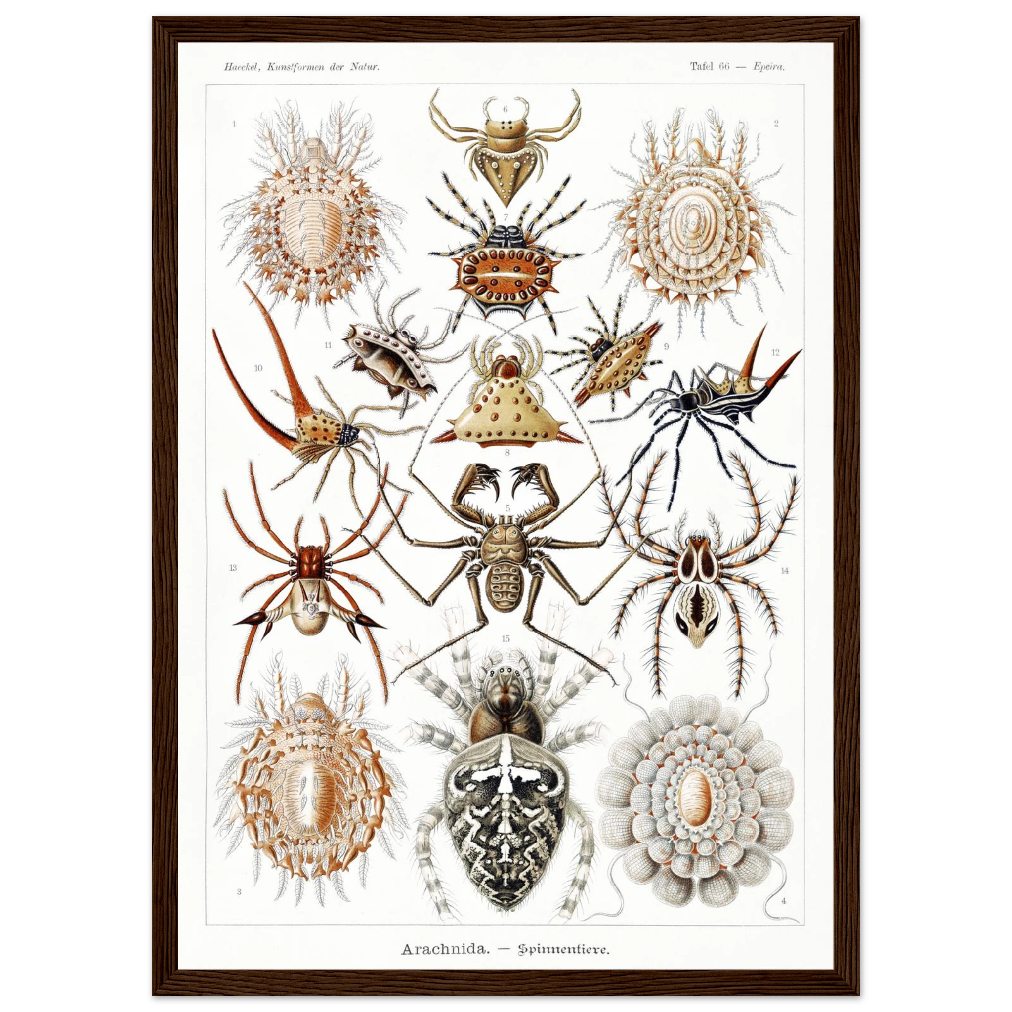 78d888b3-f367-4dee-923e-e080d1a4f8a0