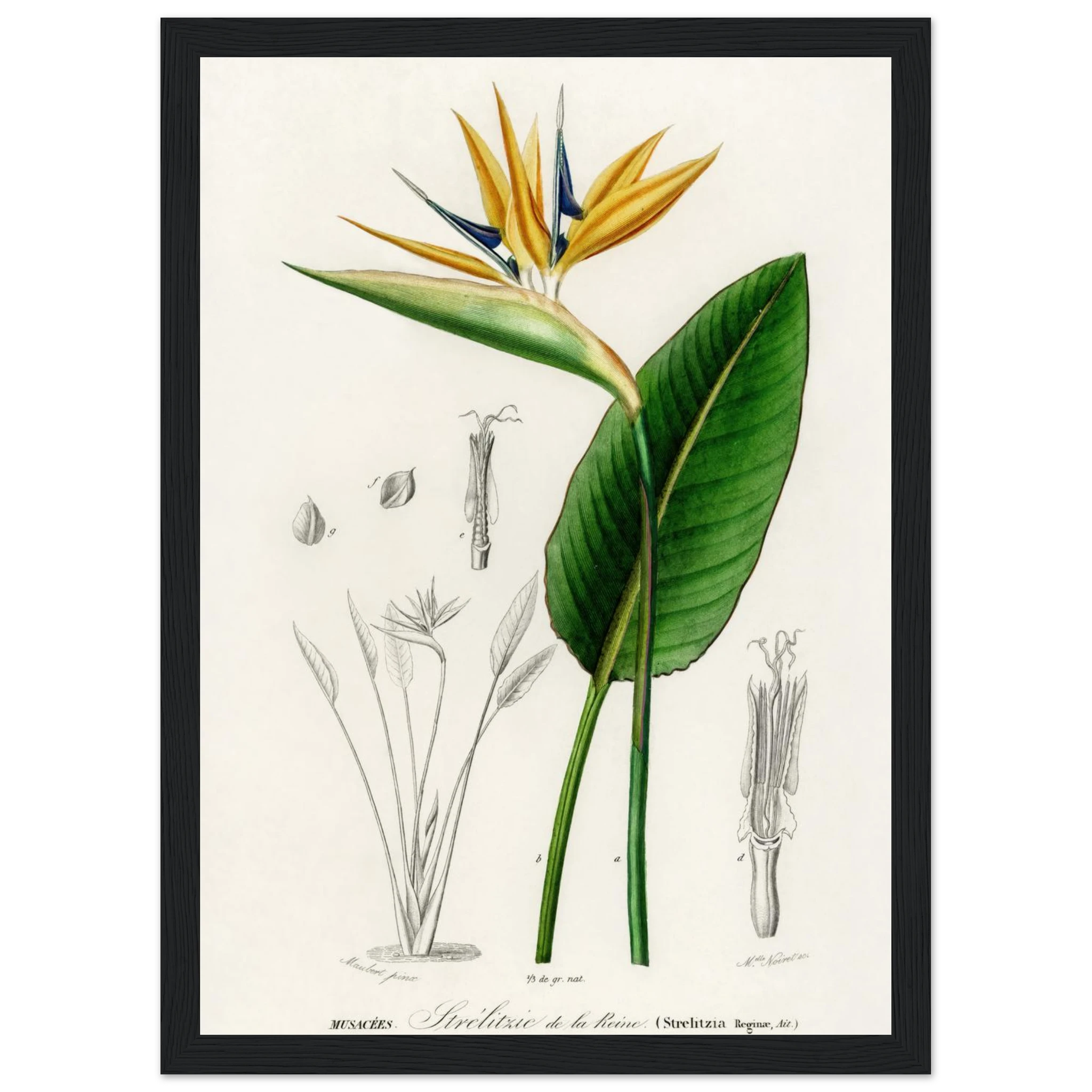 78d96ec0-65c4-45a1-9050-1815ad8e6183