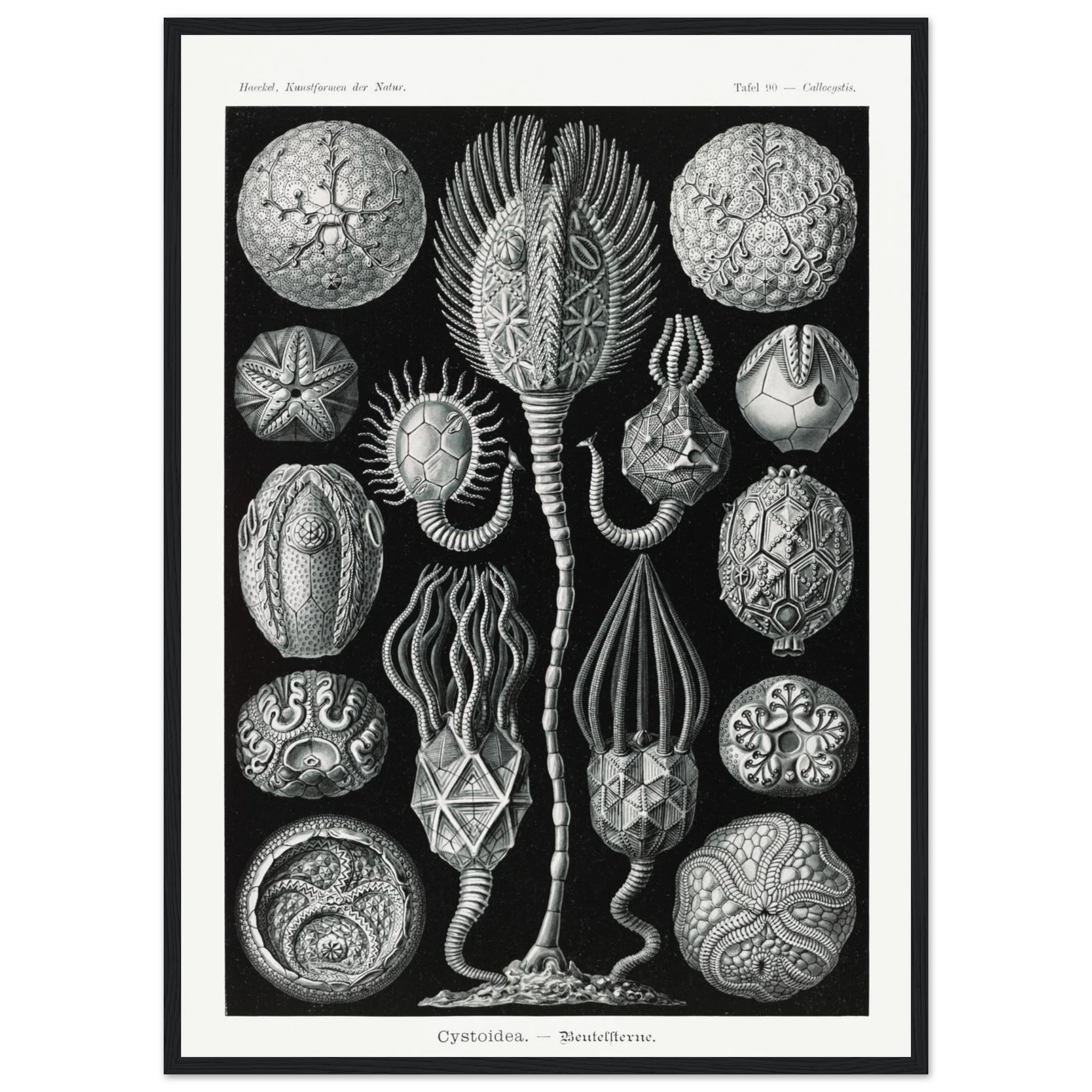 78dbadd2-c23e-490a-ba80-fefbe15dfab4