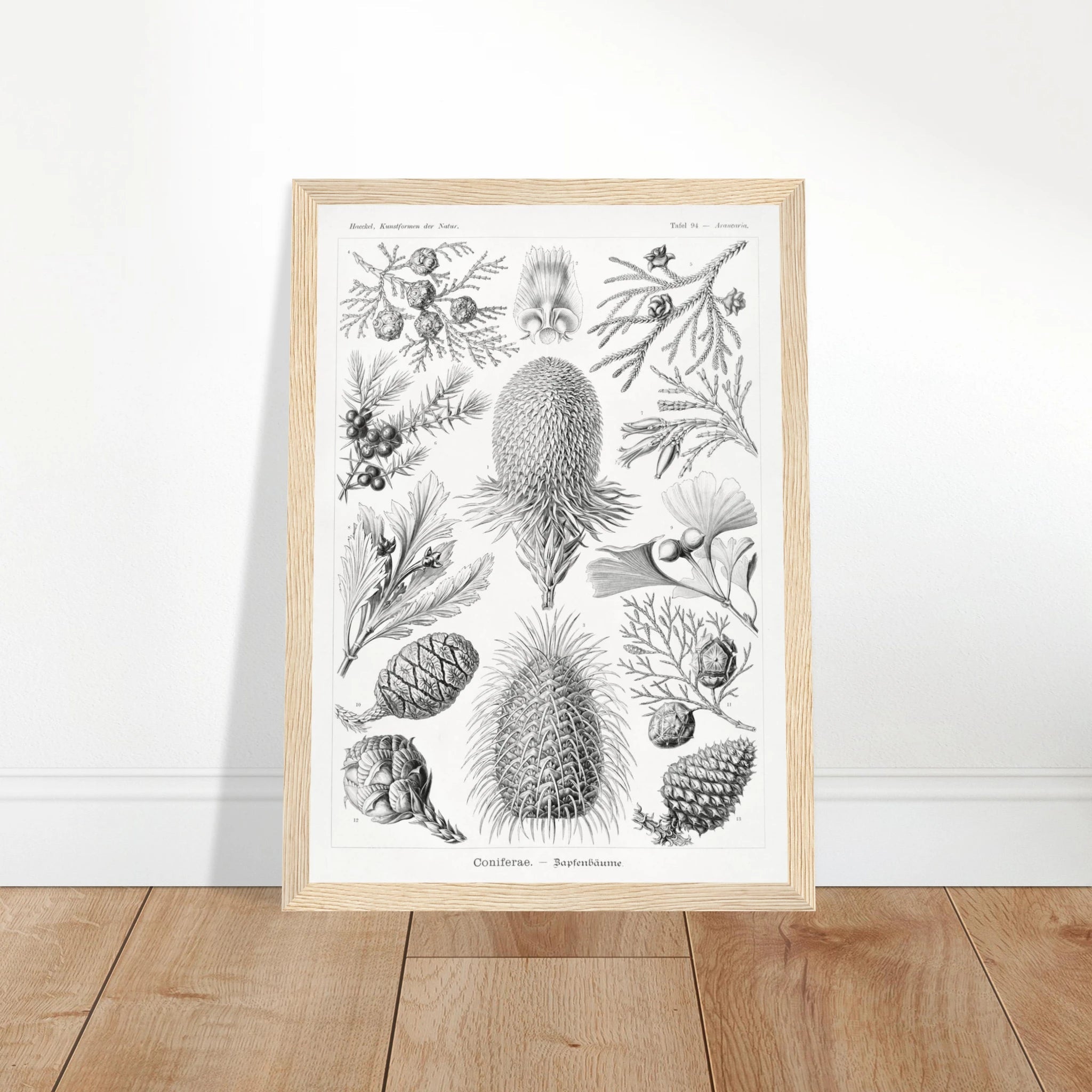 78e59296-e937-4345-9c85-df0f4e8f5da6