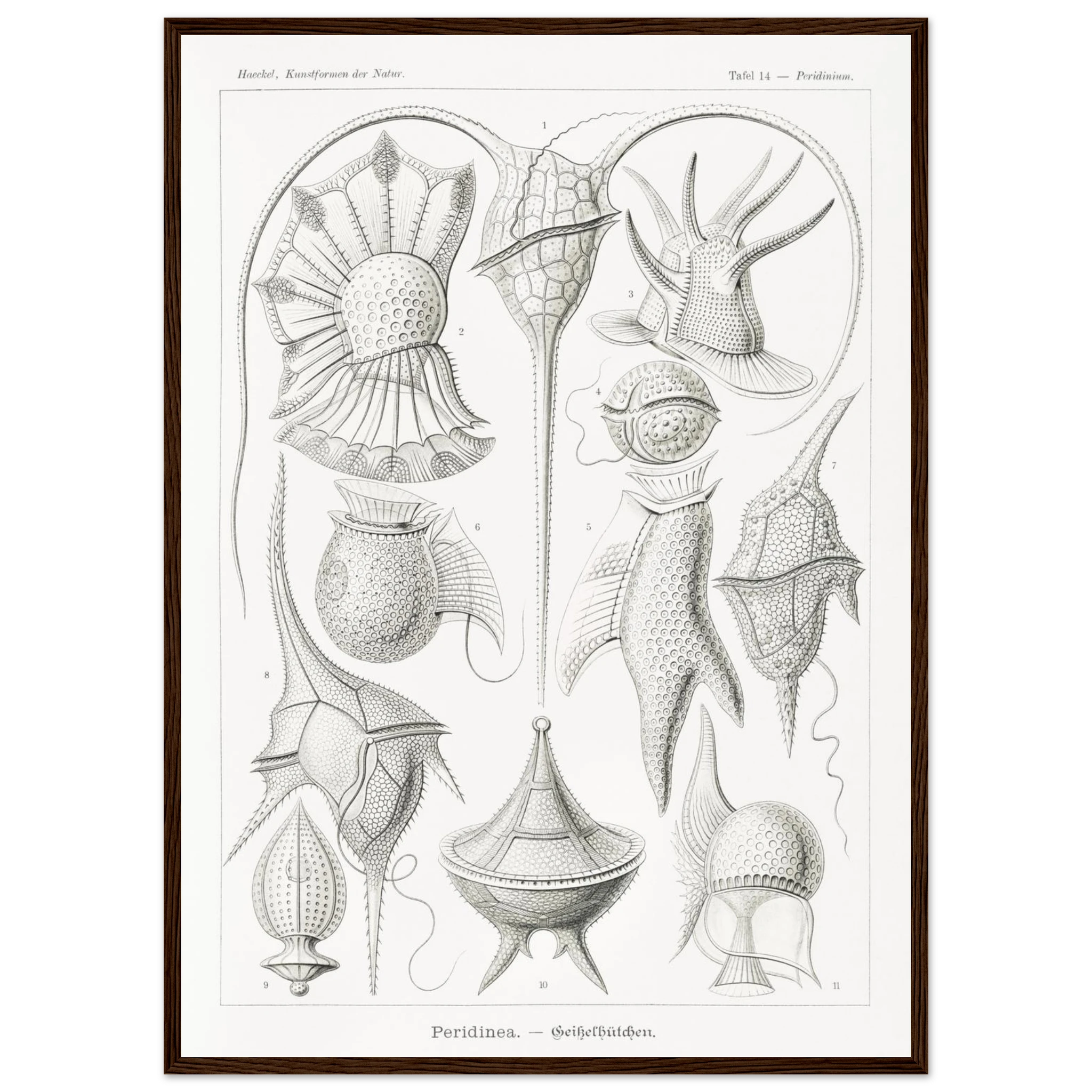 78e7408e-640d-4958-96bb-2f662d009527