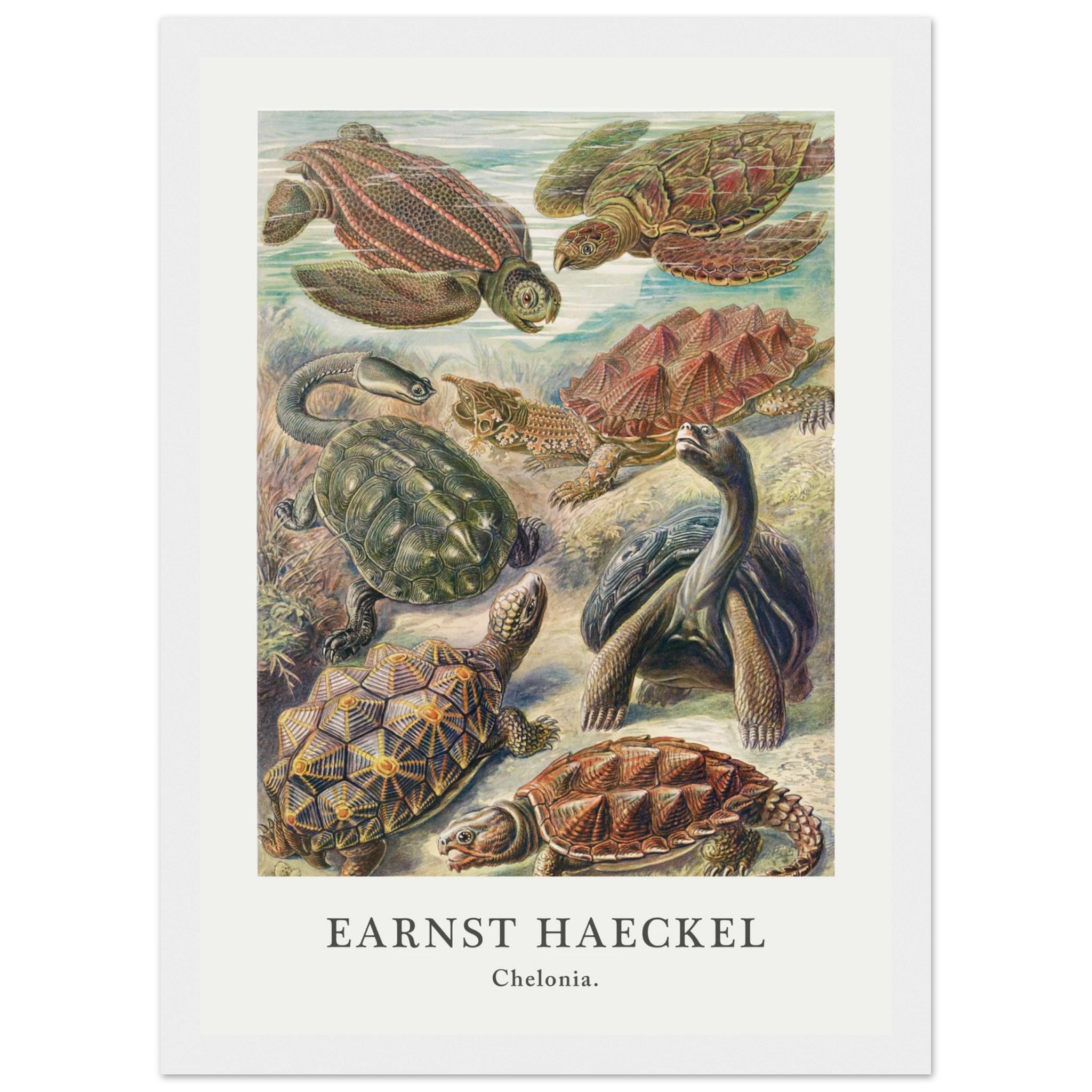 791889ea-d4af-46b2-9711-559368eaf1f0