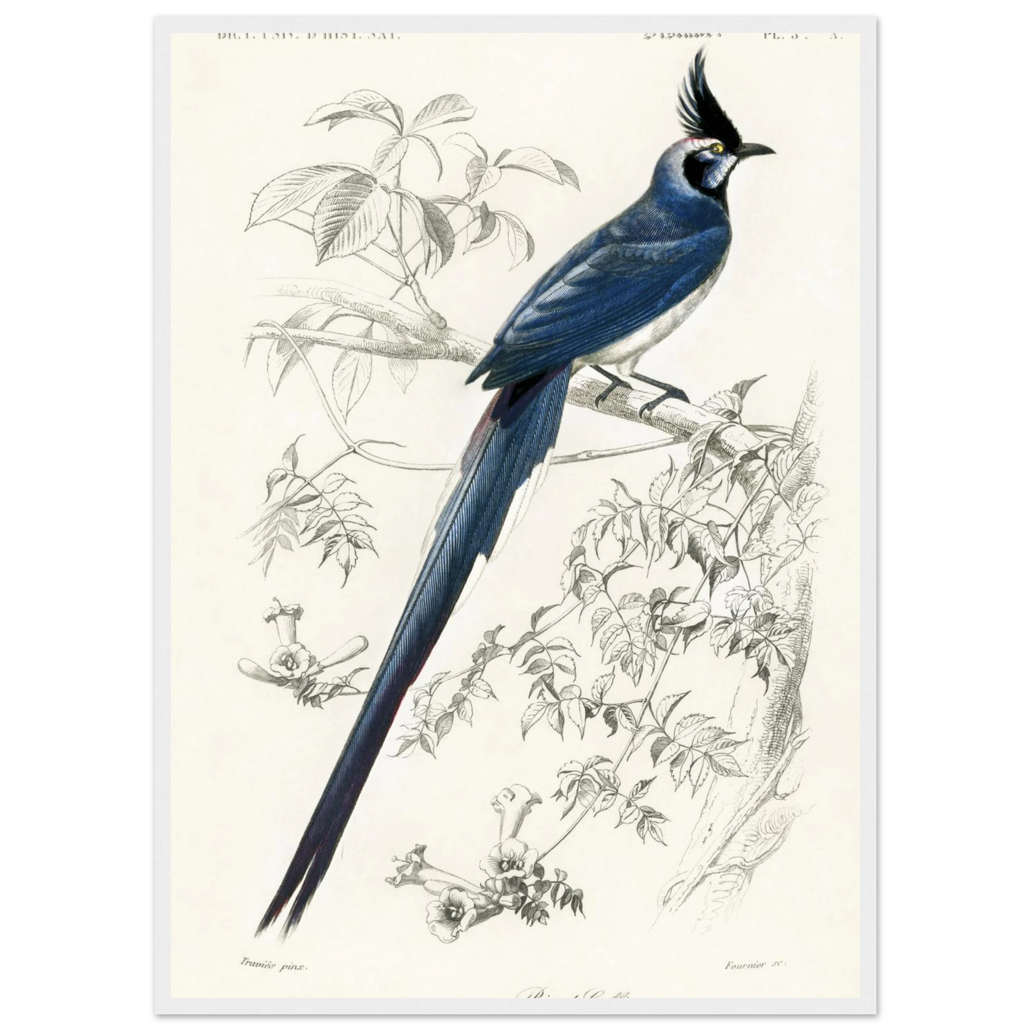 791ba439-5b5a-4e04-b466-46c49f168009