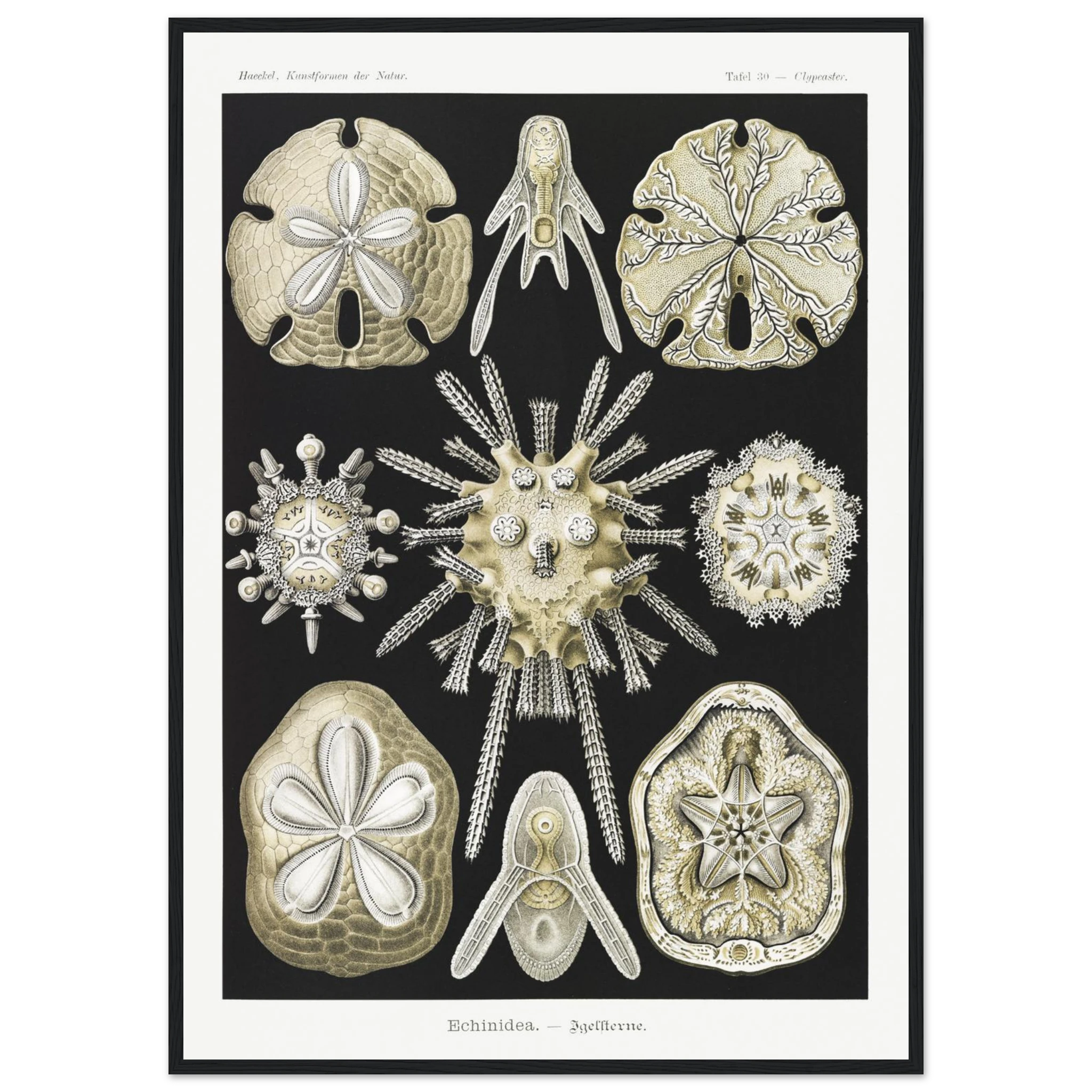 797c1595-64eb-4492-b80f-4cf3514c9532