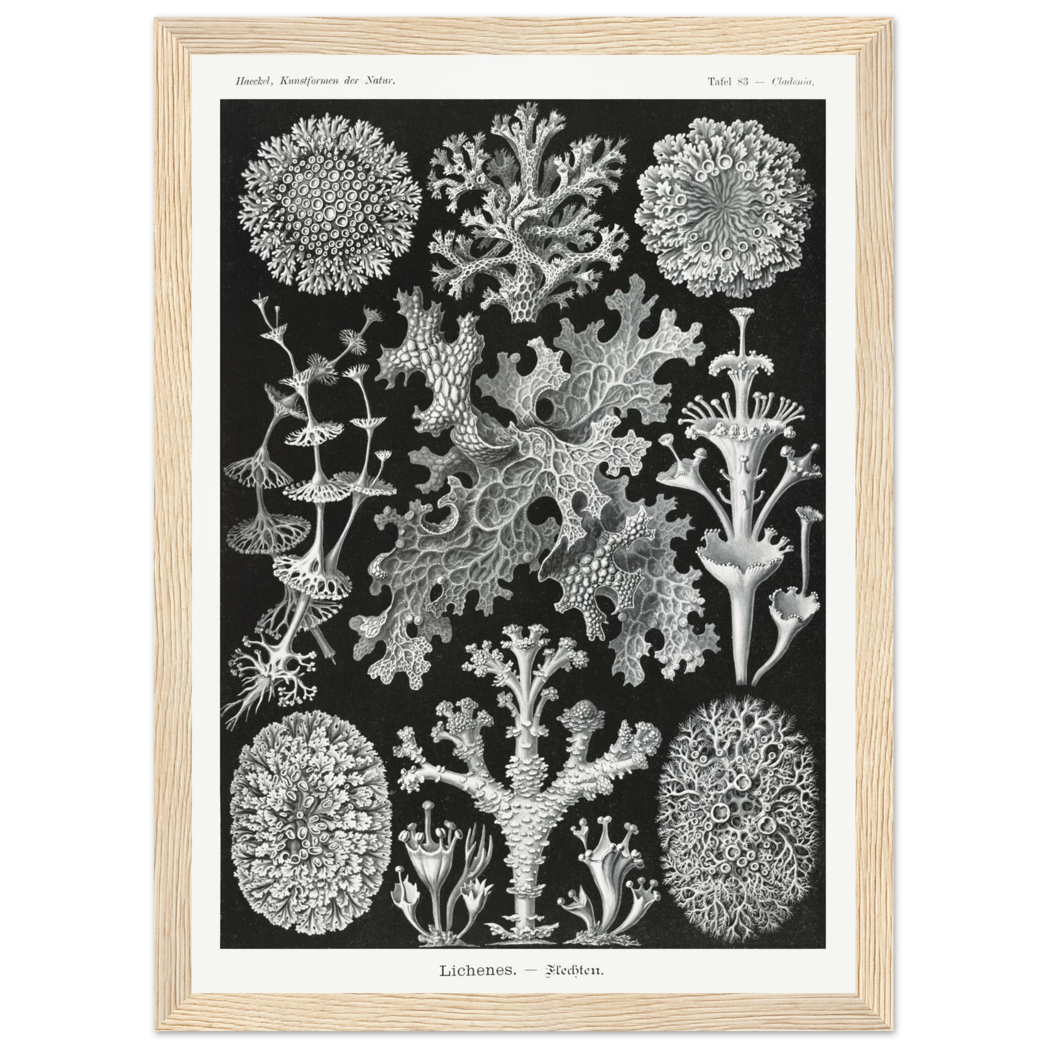 79daab22-d6e3-449a-a610-58ad5dc40c16