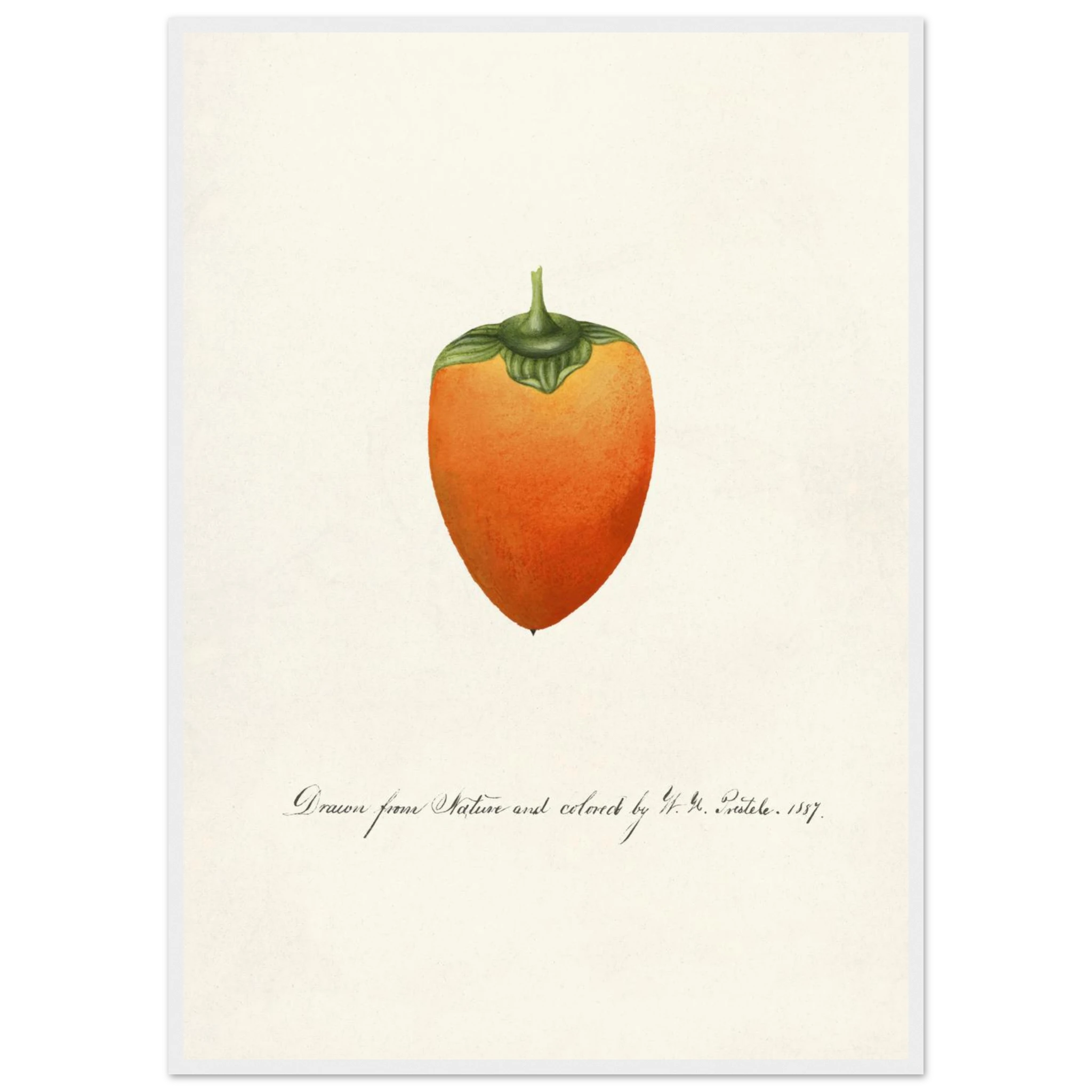 79f81766-b7df-46e9-bb32-fbd57c689433