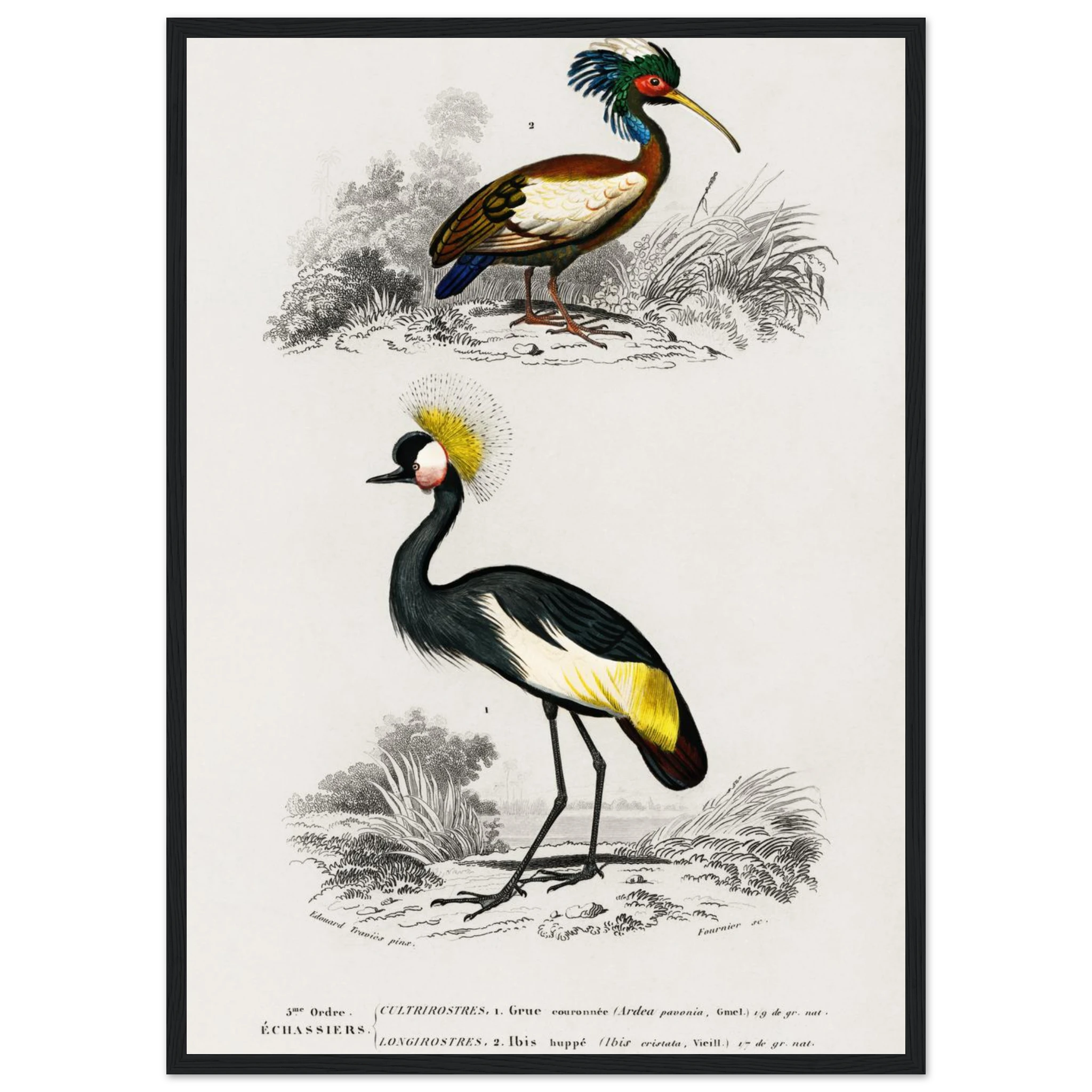 7a3d70cc-5007-40e4-9527-01735021bc27