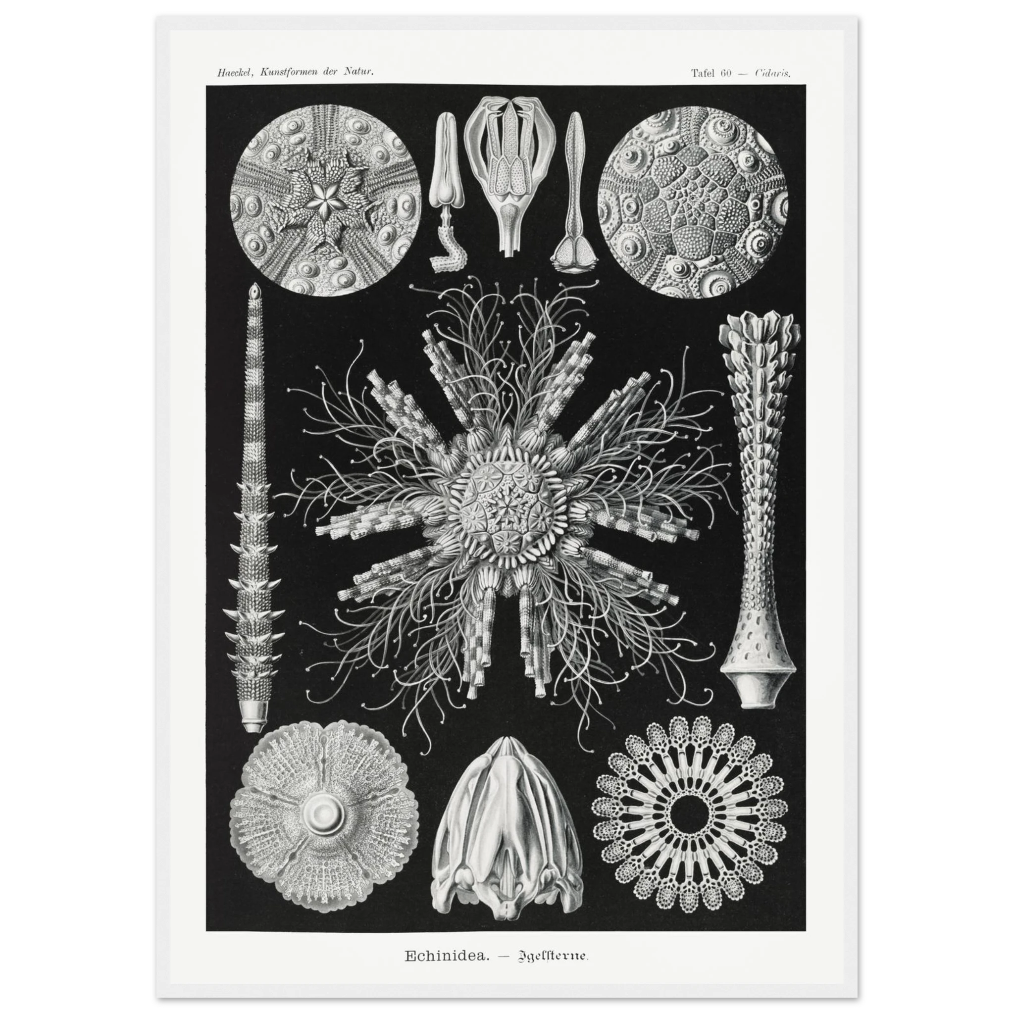 7a42d100-a6e8-446a-806a-882f073f4bfd