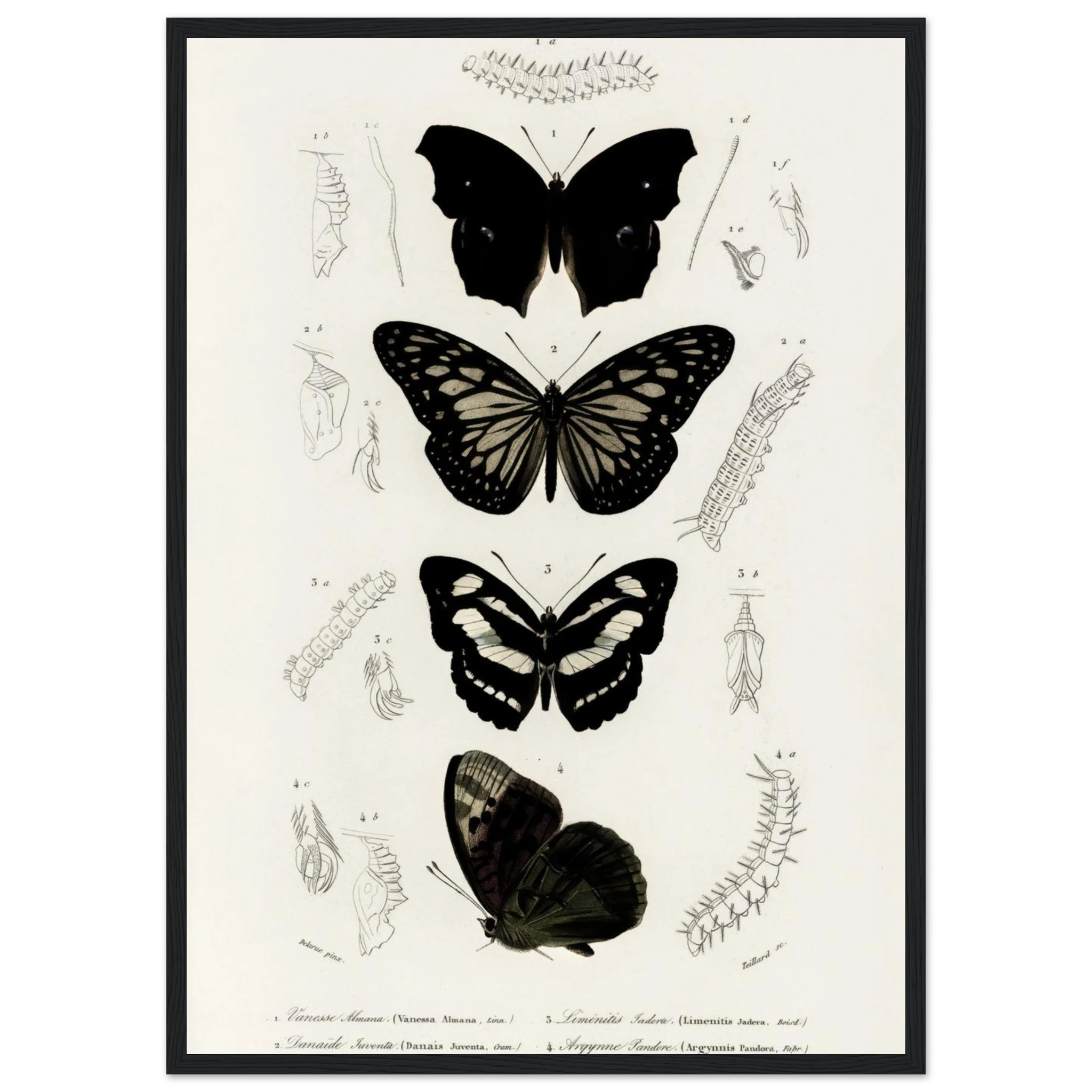 7a66394e-e07c-493f-8888-8d9c4c961636