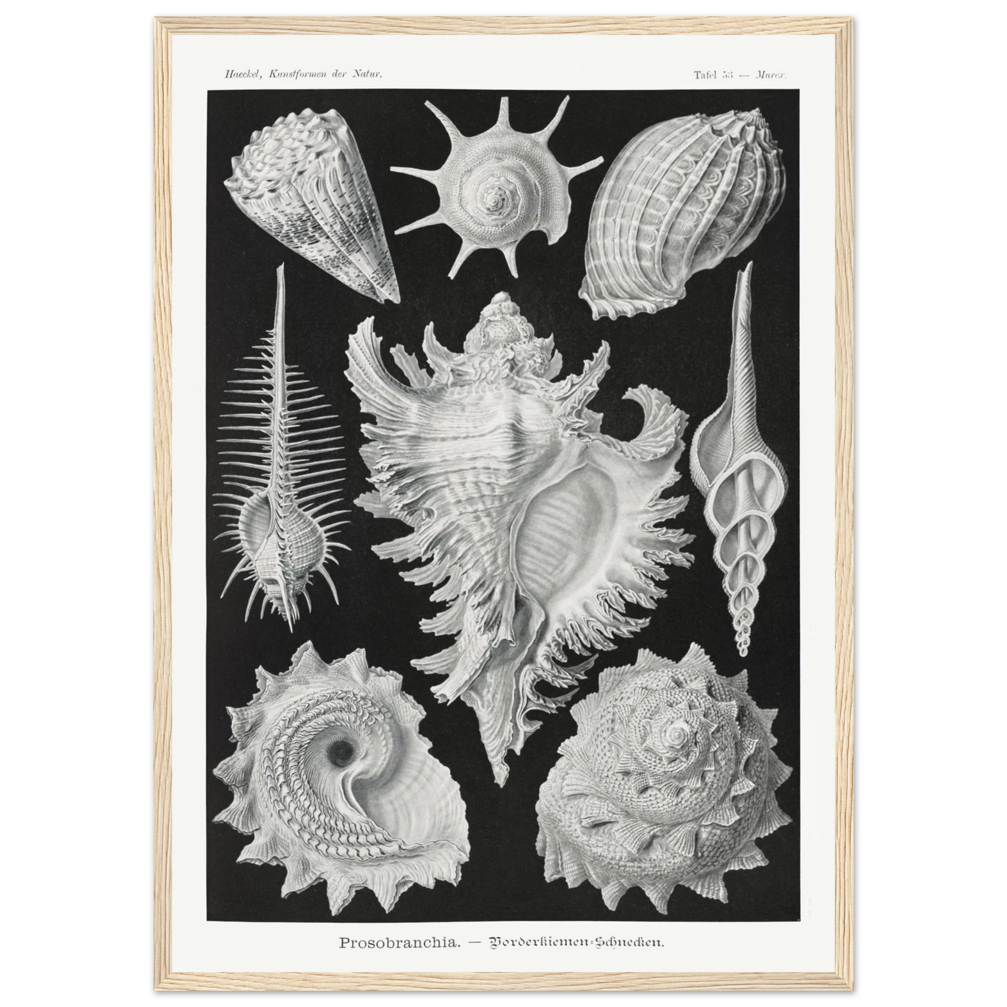 7a8f1ed6-ba3e-4e86-9915-146967450ba2