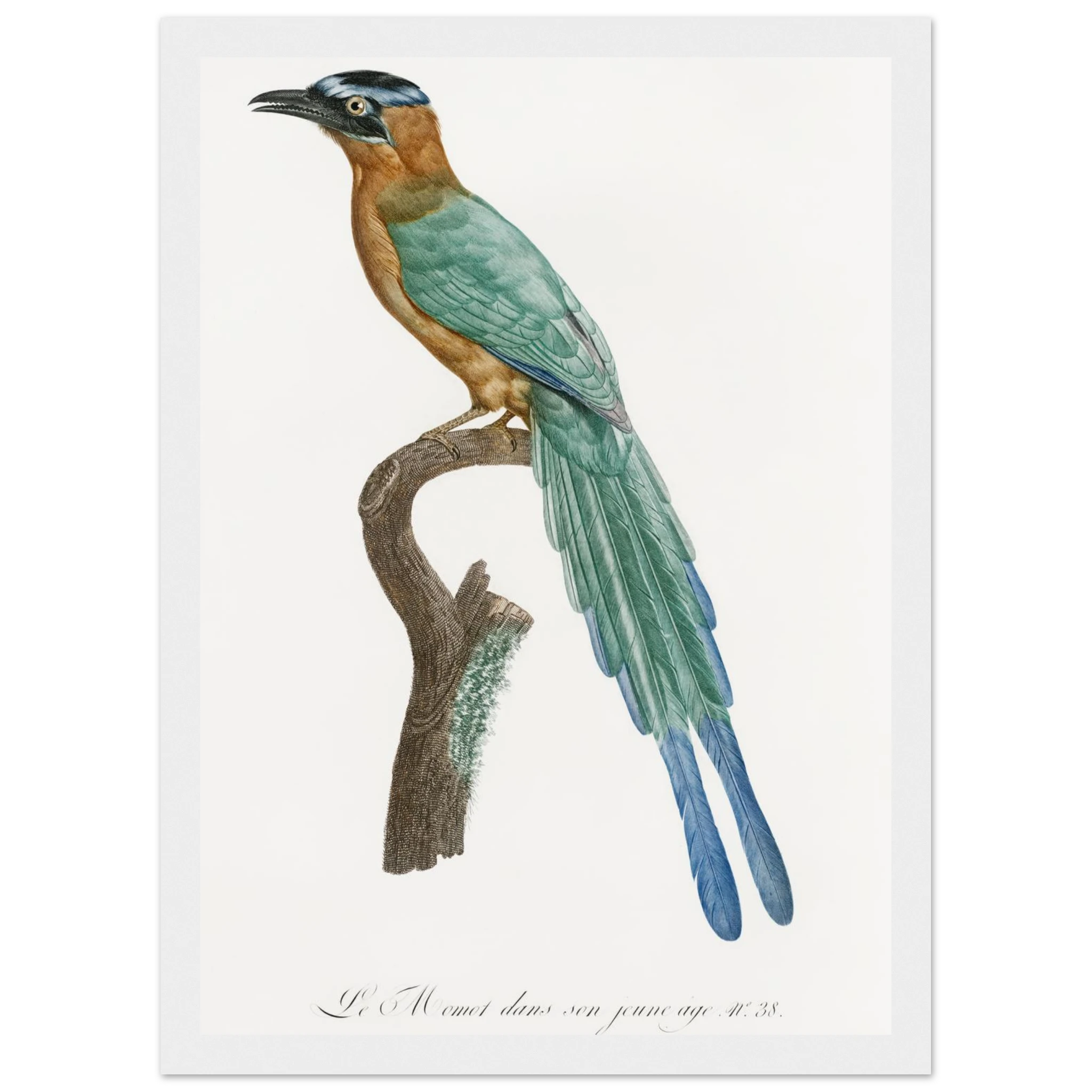 7a9322b8-09bf-4689-b59f-84258db78881