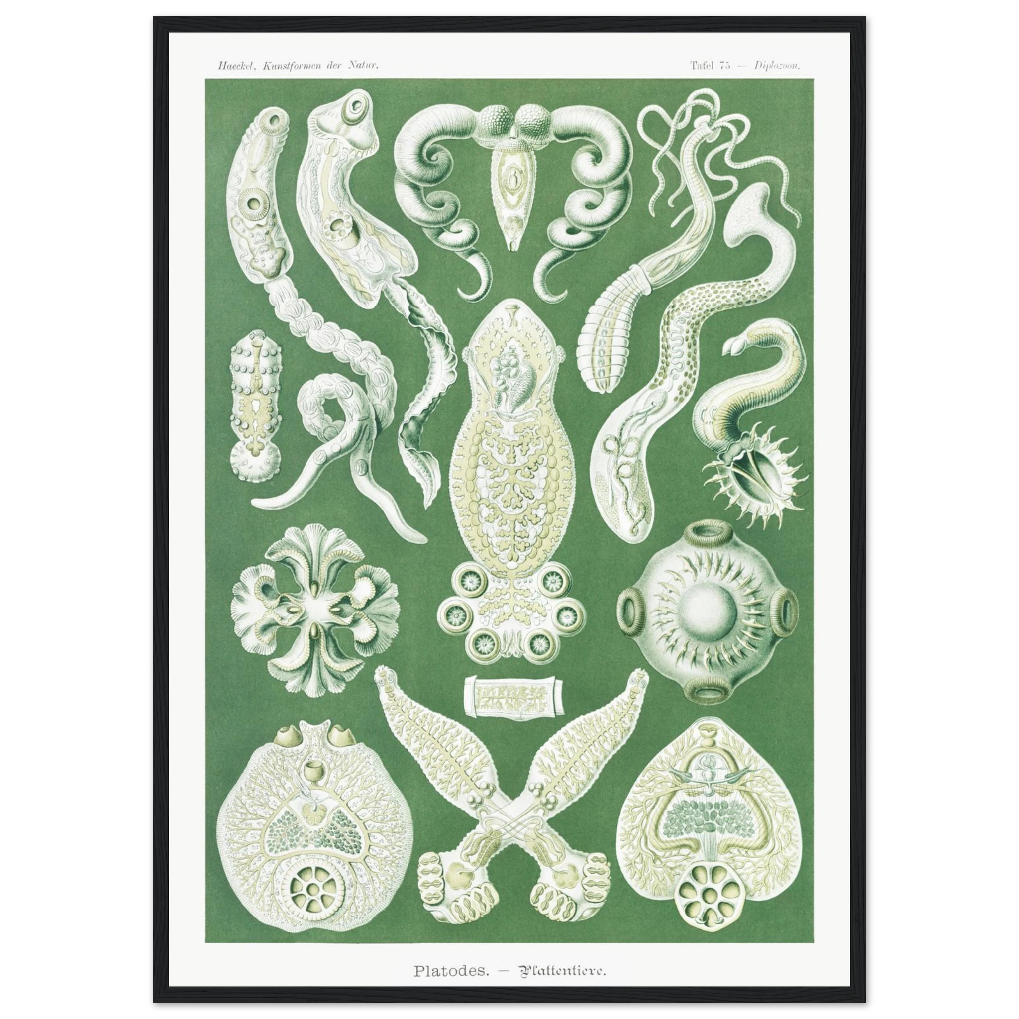 7abbffa1-85af-4421-be06-ae10b0c87bc5