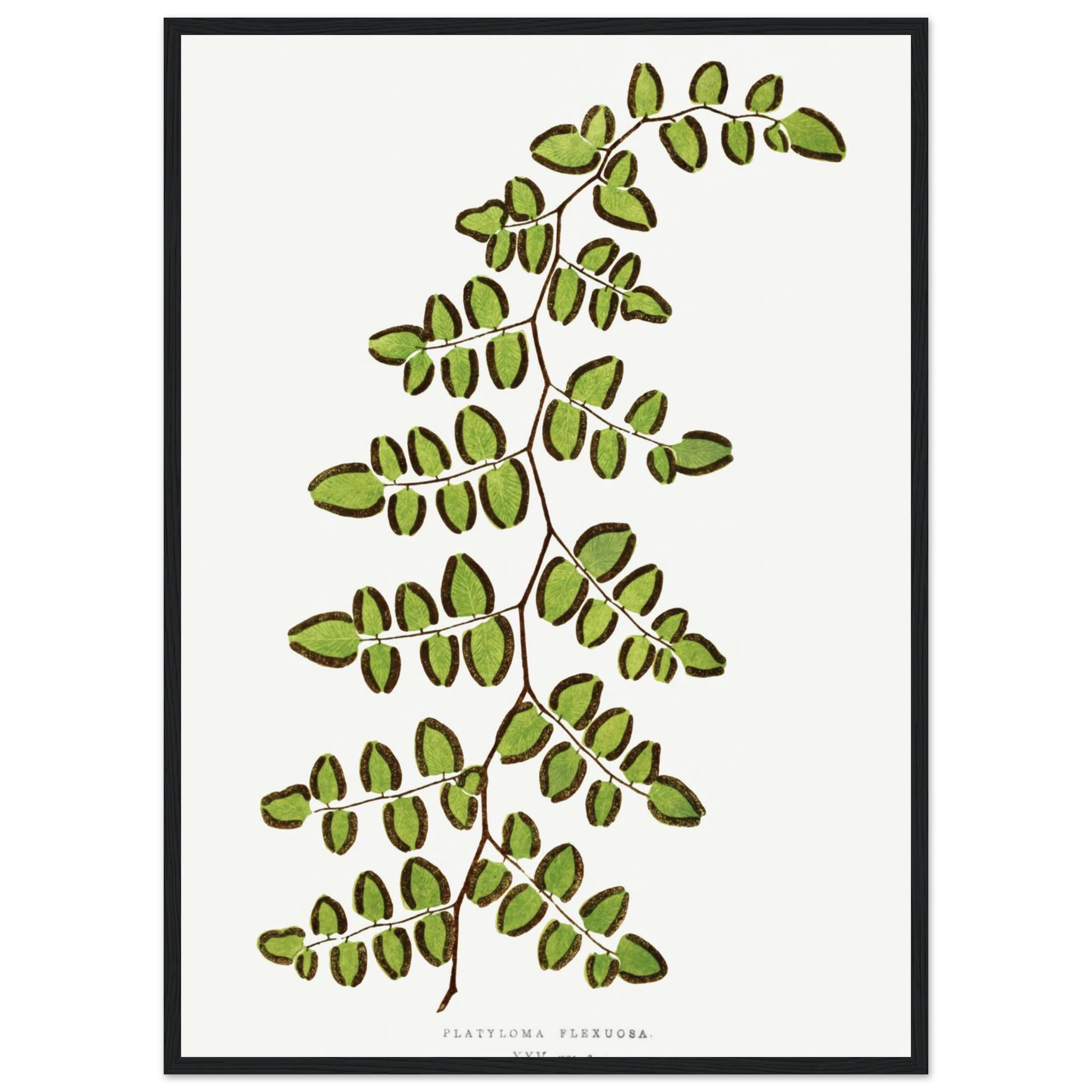 7b60b013-51d8-4e65-83bb-d049020c8cbc