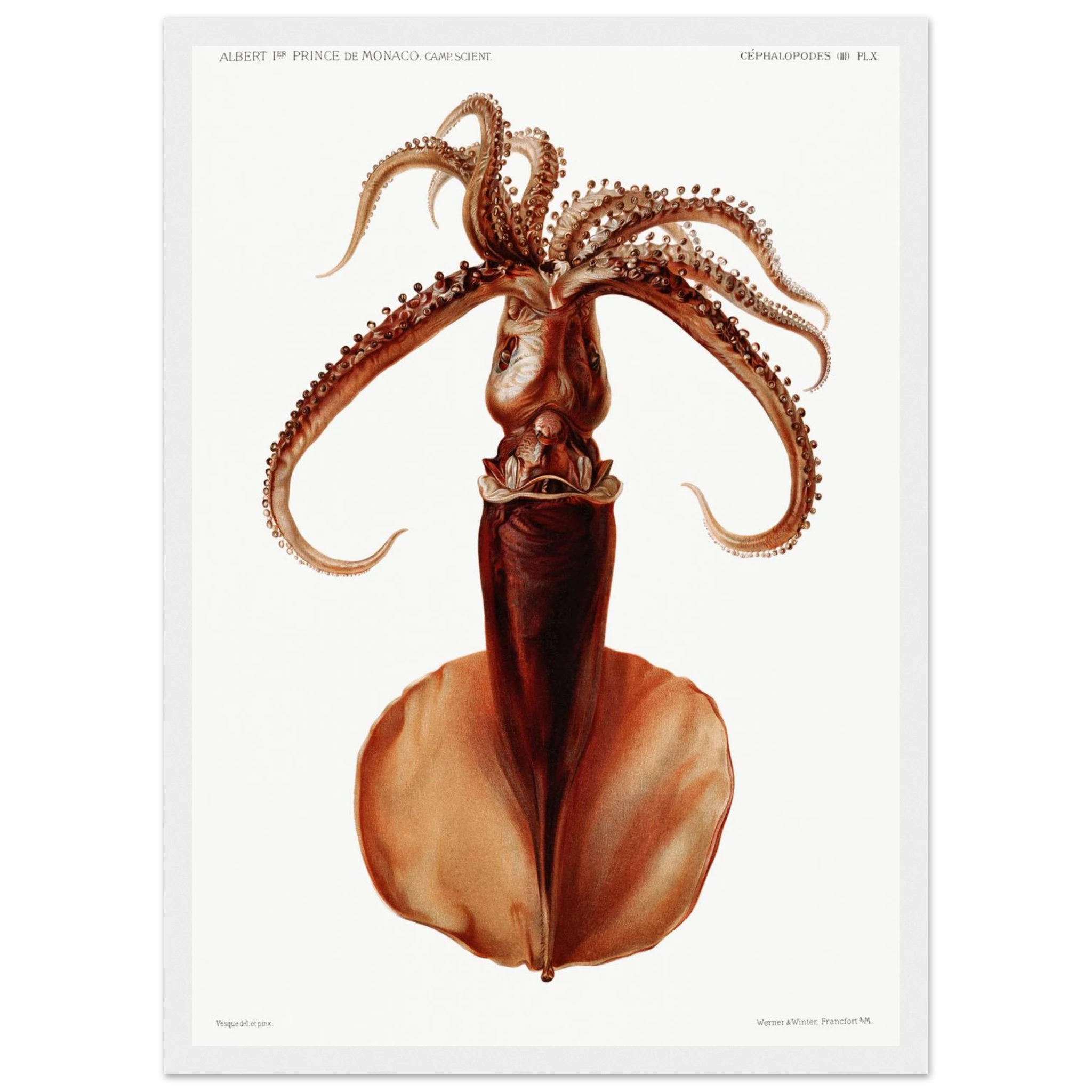 7b9def0f-0296-4797-8598-4fbb5004b27c