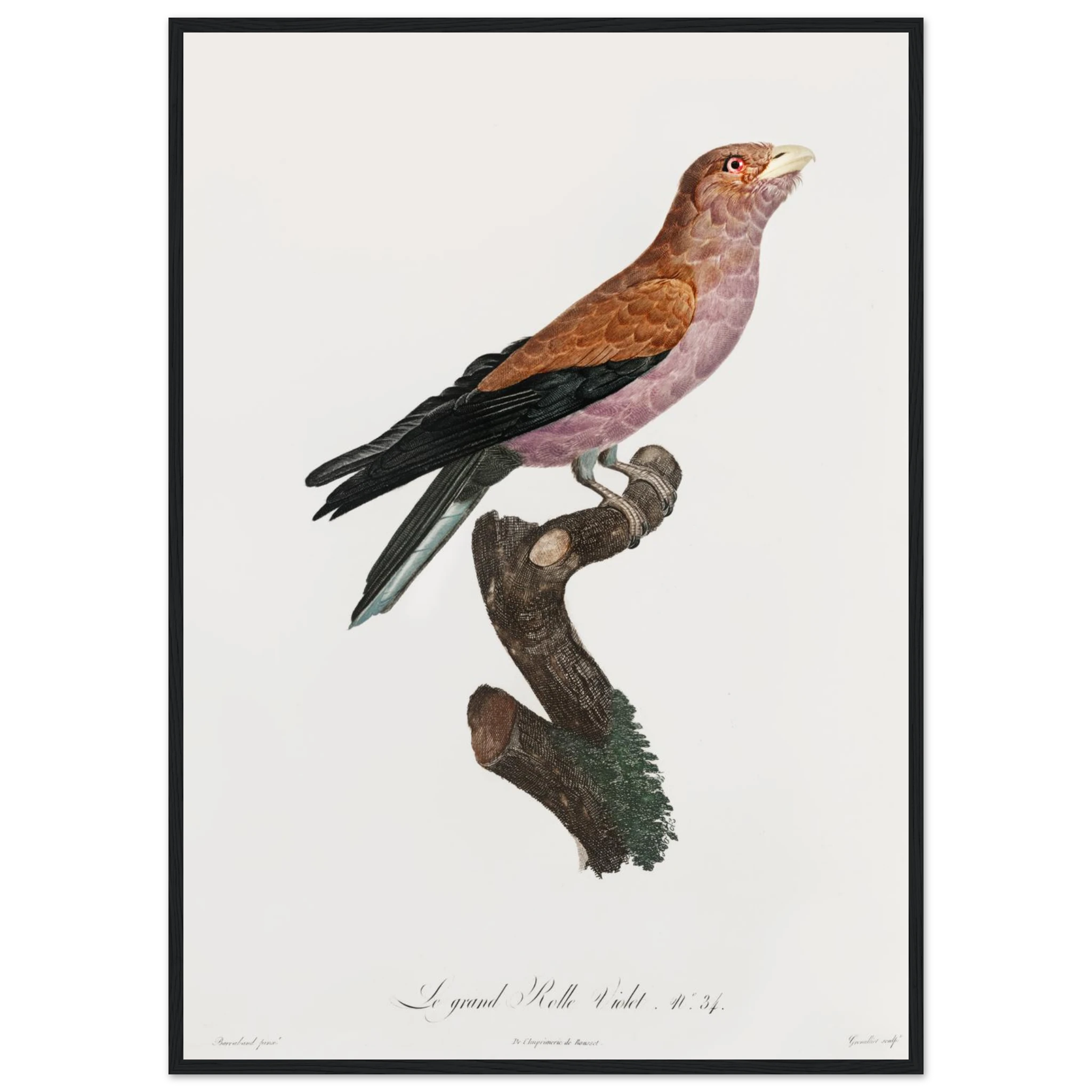 7ba04abf-c6a2-44ef-a6f2-0fde7a88f45e