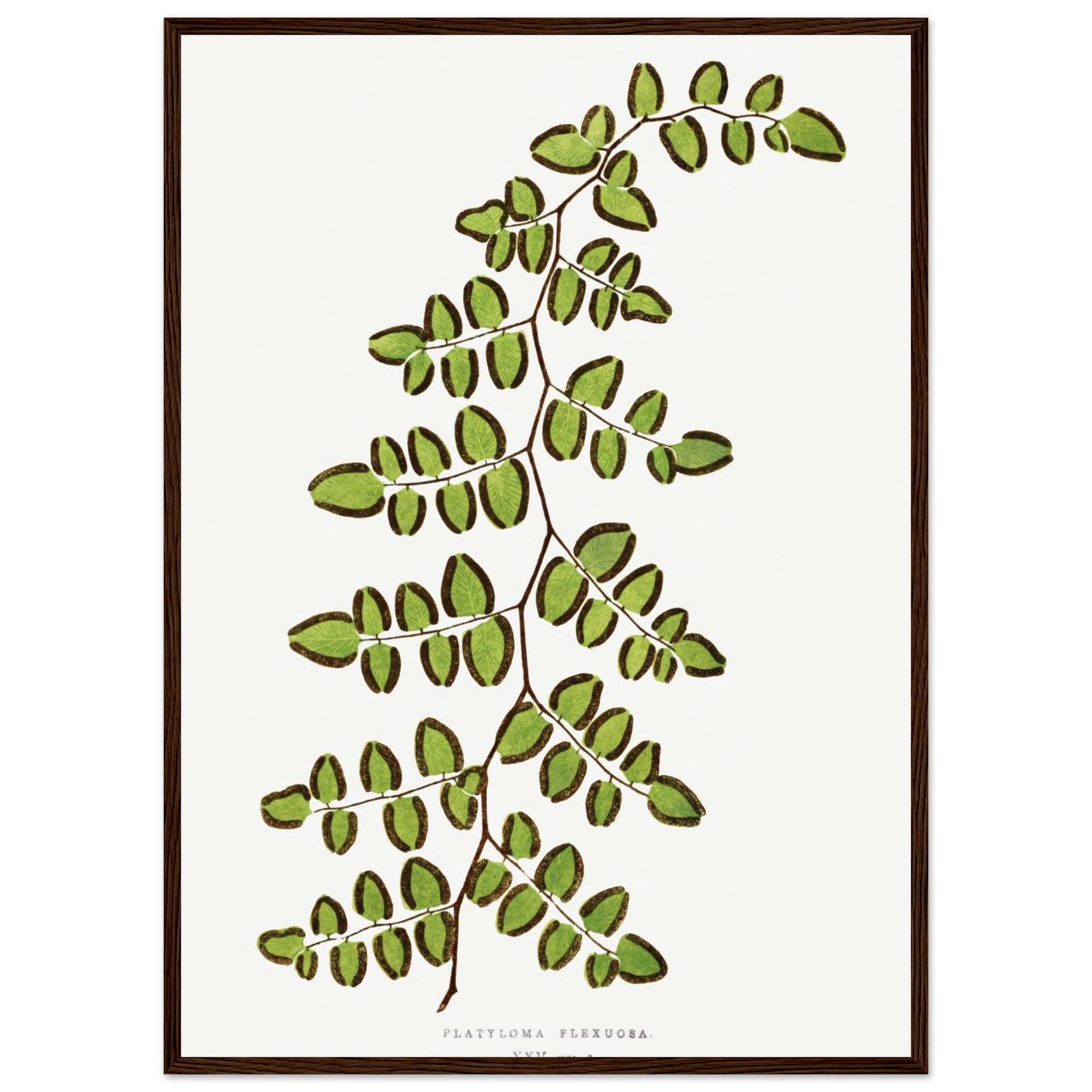 7bb6934d-a9a1-4623-a30a-fae819882c6e