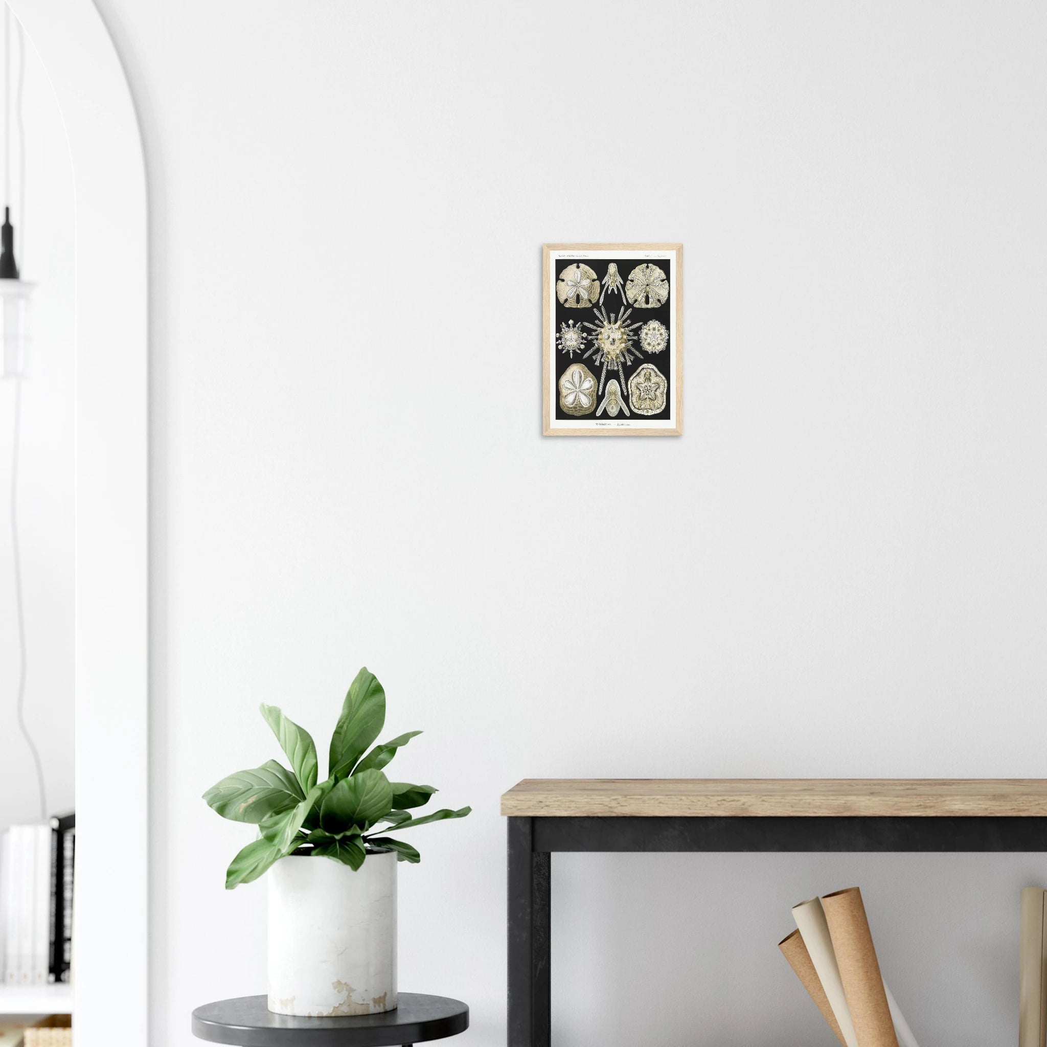 7bc657b4-2a48-4207-b80c-a04440038aa2