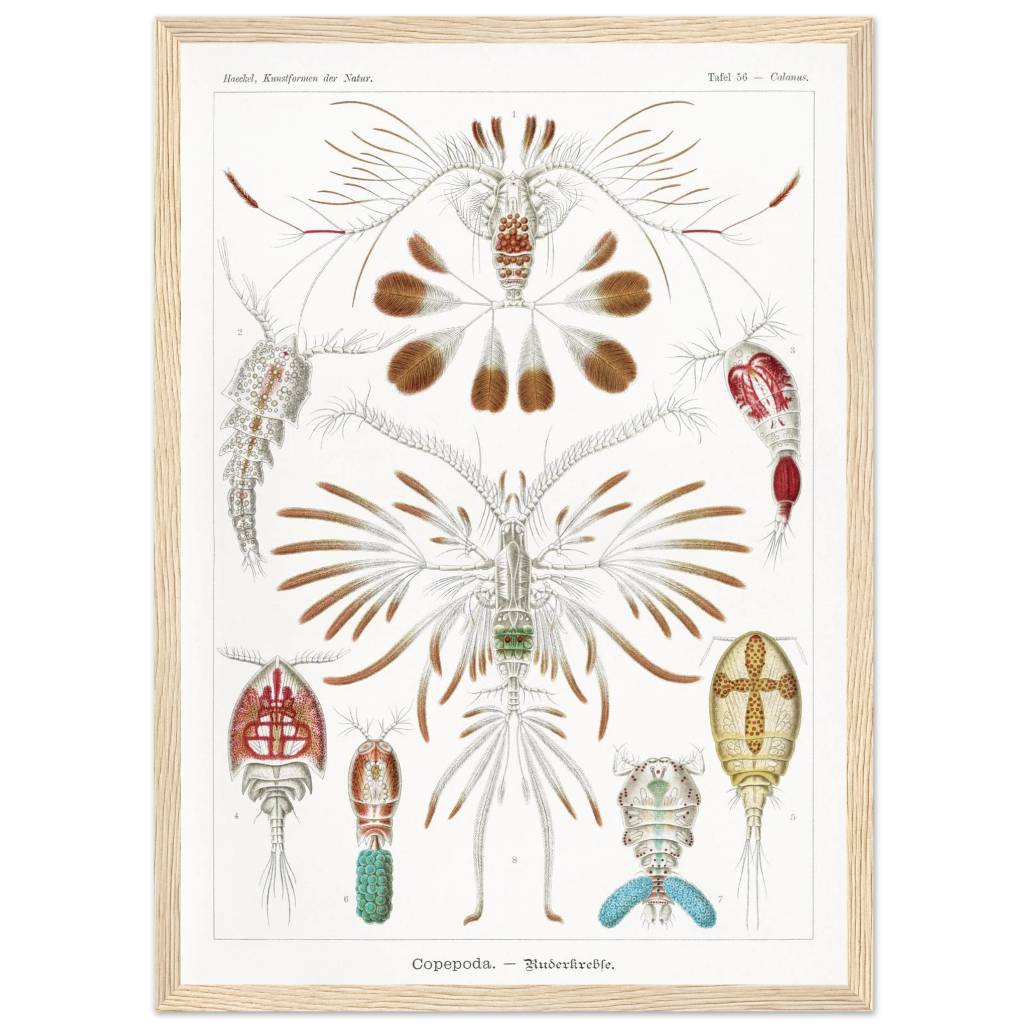 7be259d3-e17c-47a7-af38-199ca76c3532