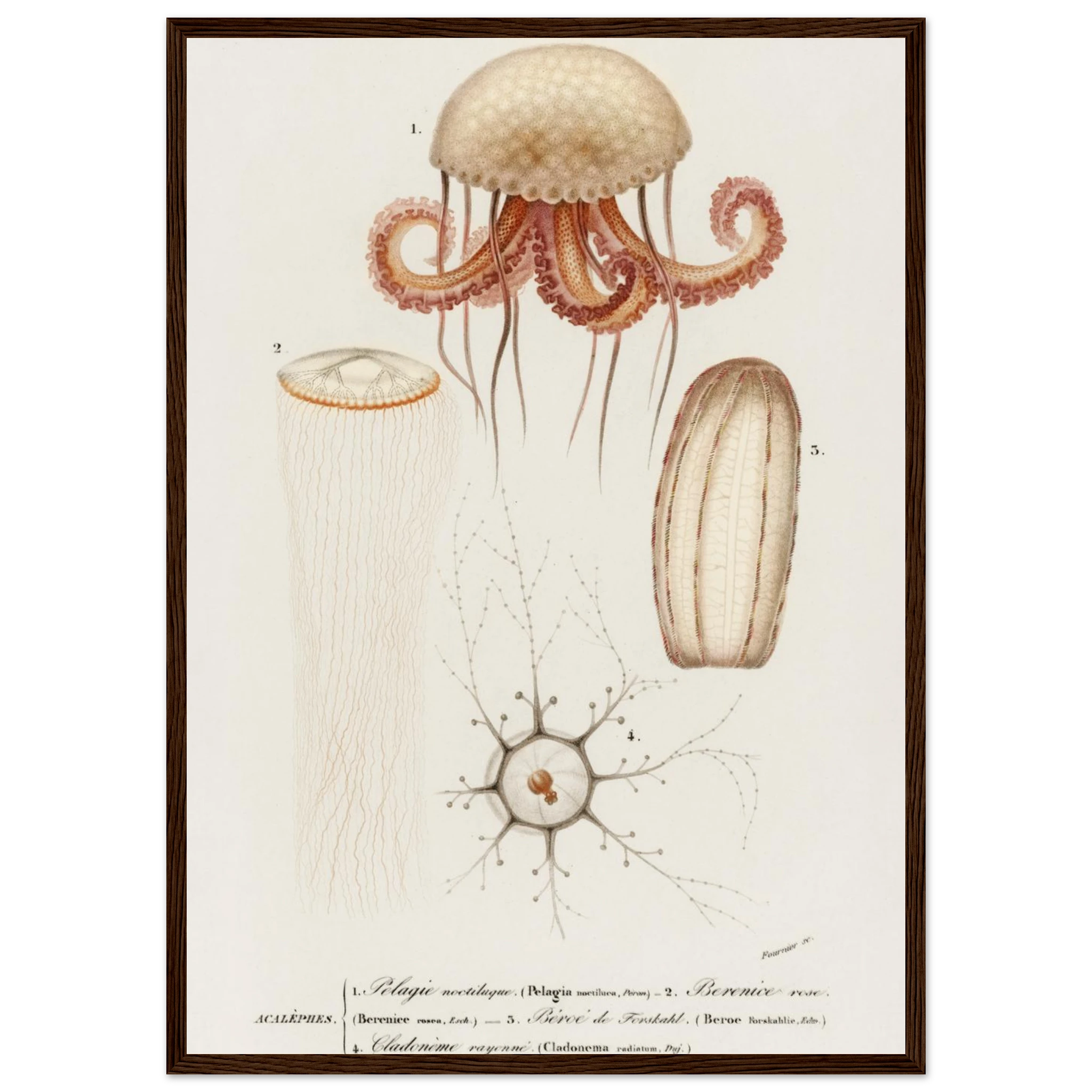 7c05777a-8b5c-4c90-9aaf-abc229504e0d