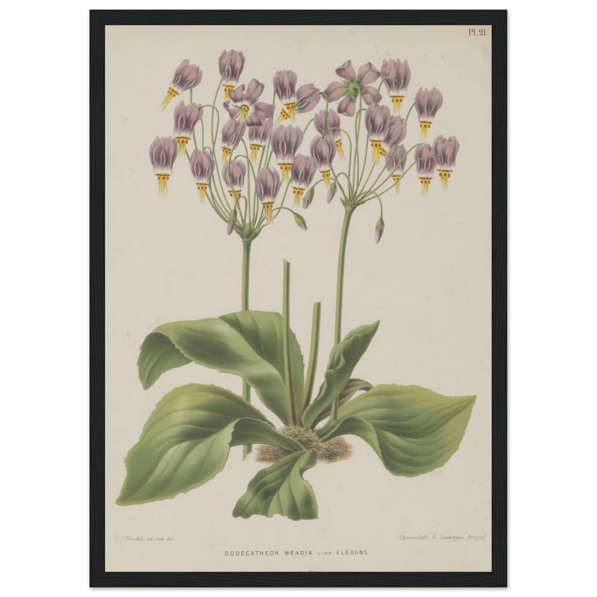 7c0ef183-1e65-4a47-8d46-2aec5675f66d