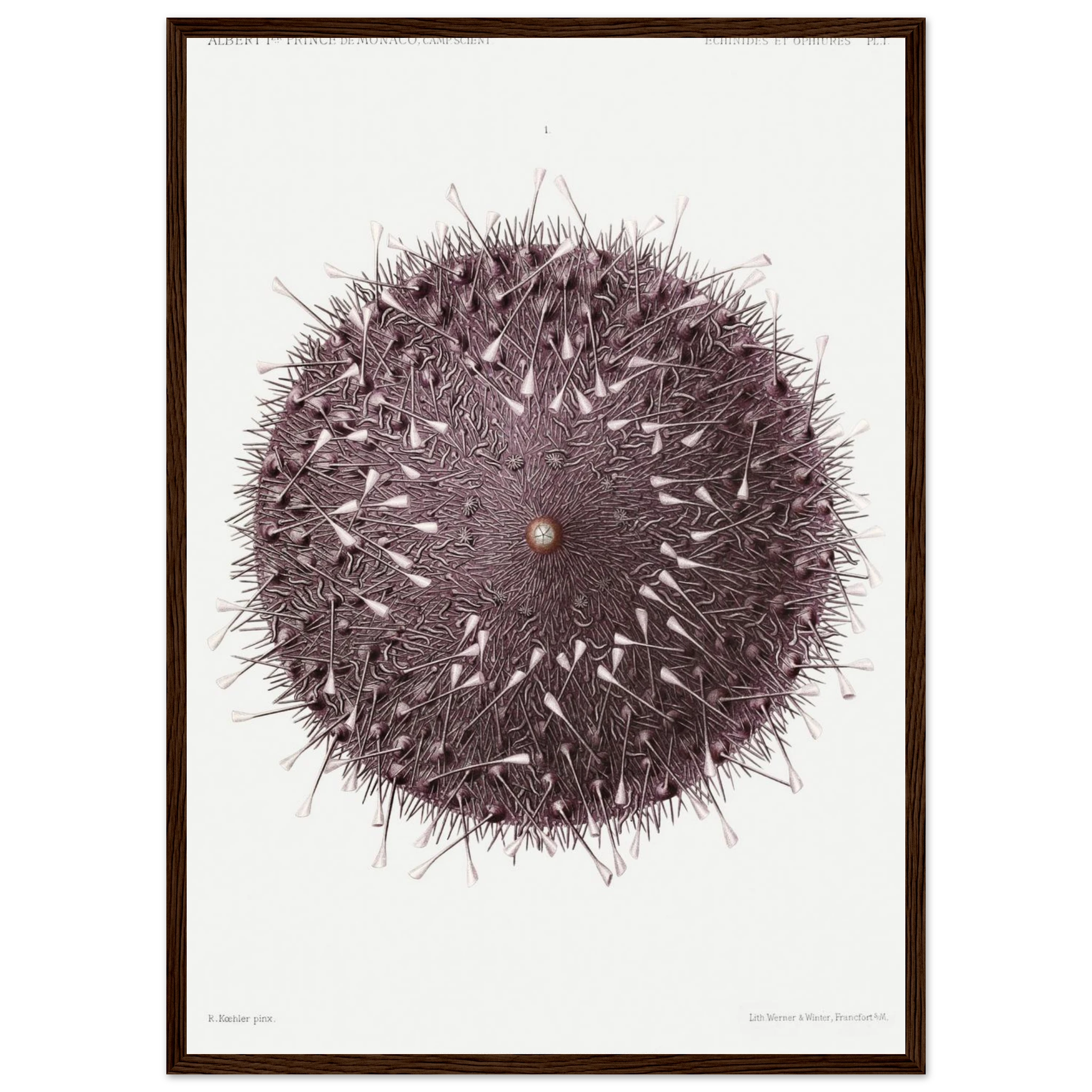 7c47683c-8a92-415d-9445-a5b4e5582cc3