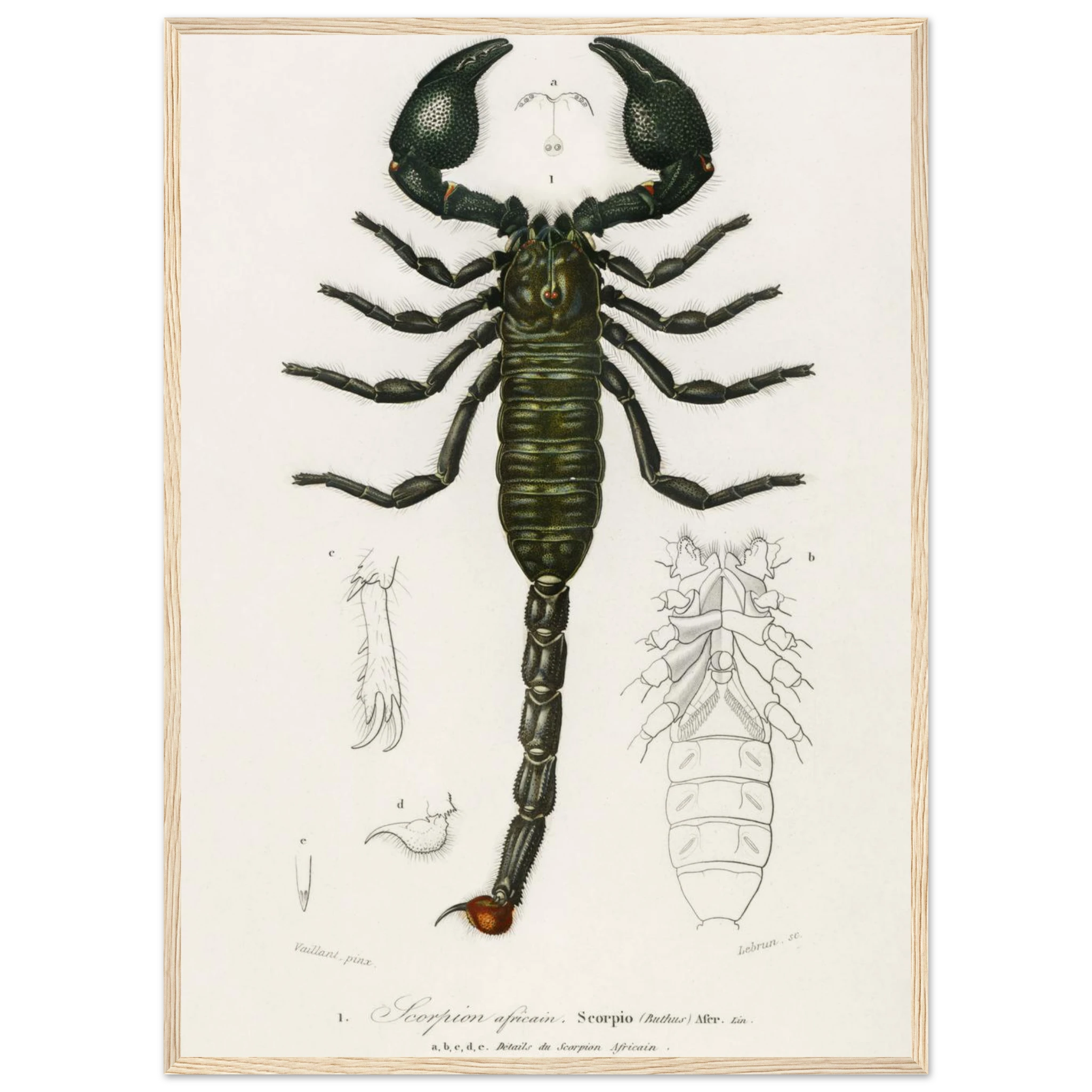 7c64f623-1b18-4e5f-ba4e-4b54d9559aa4